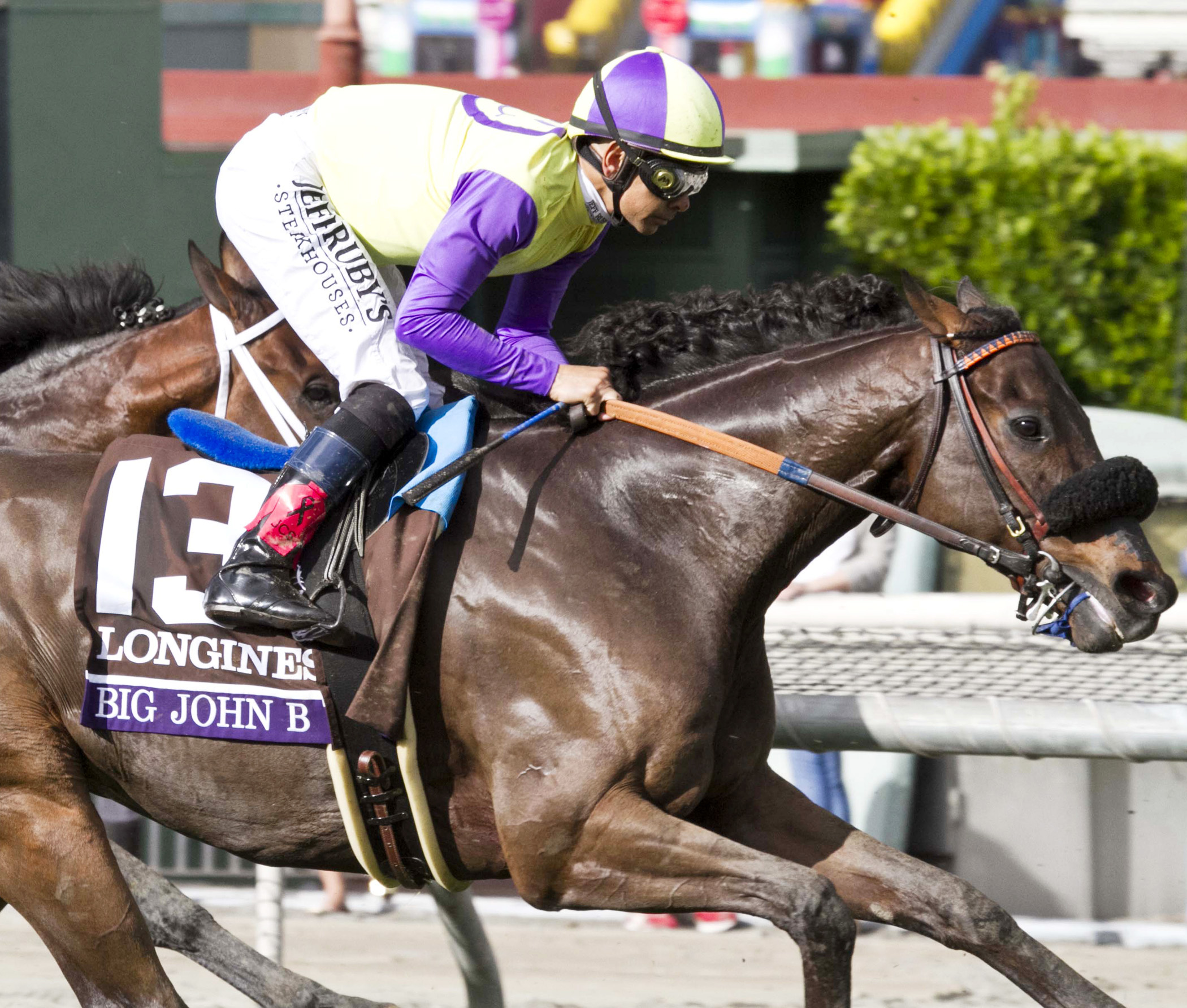 Big John B finishes ninth in the Breeders' Cup Turf Stakes