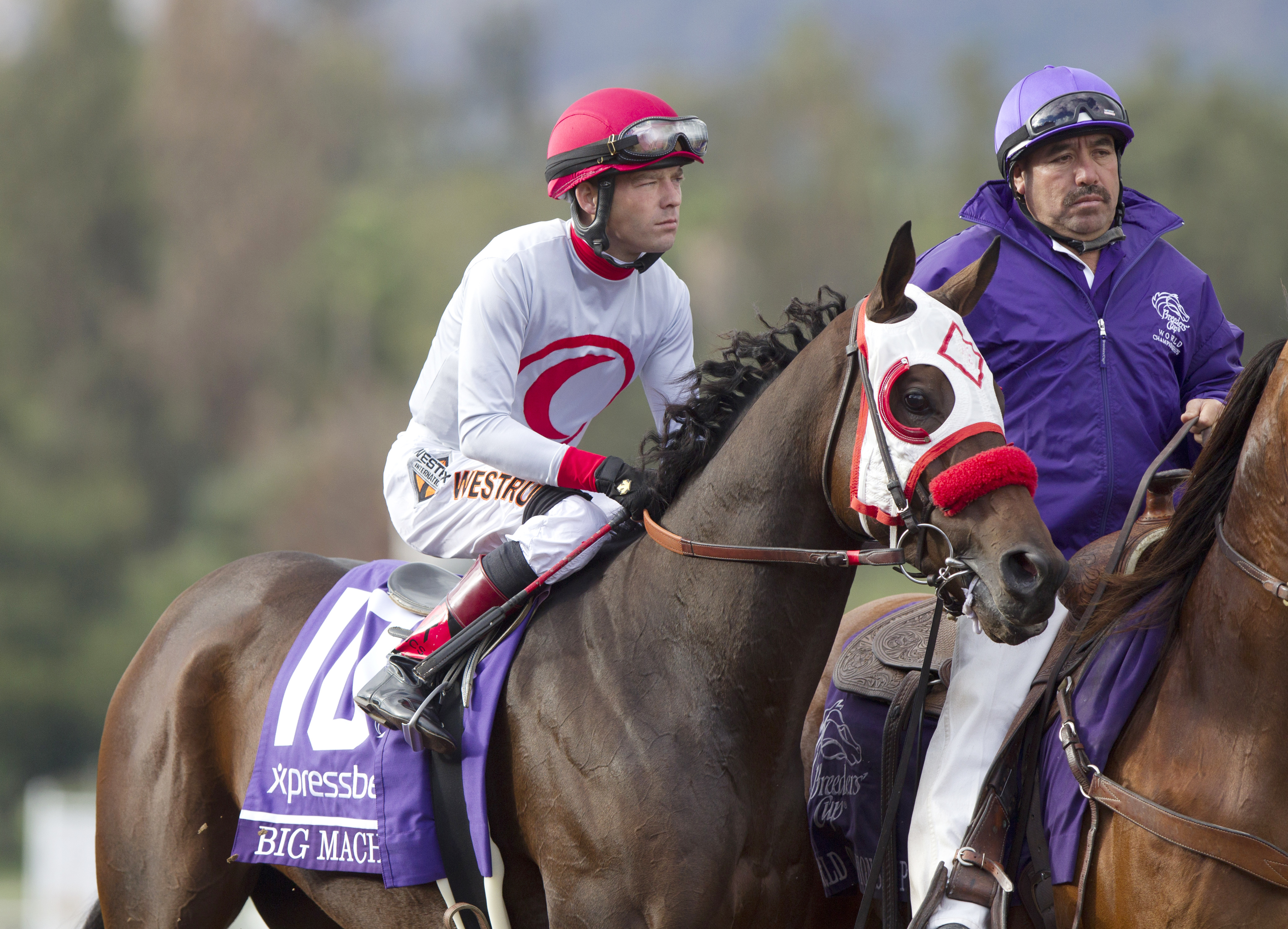 Big Macher in the BC Sprint