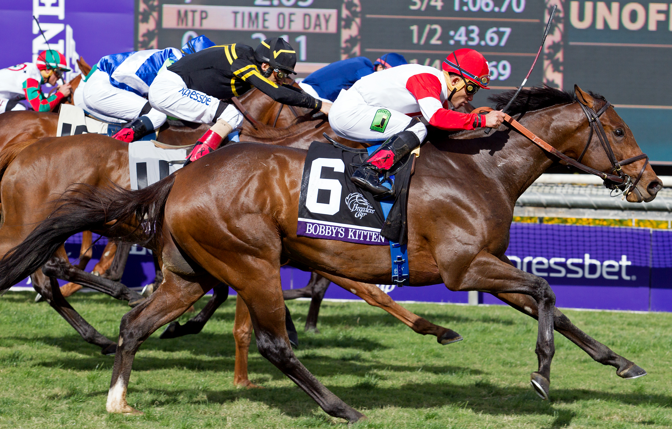 Bobby's Kitten Breeders' Cup Turf Sprint