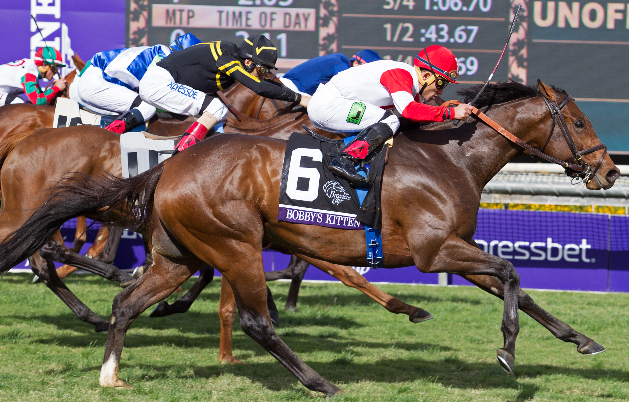 Bobby's Kitten wins the 2014 Breeders' Cup Turf Sprint