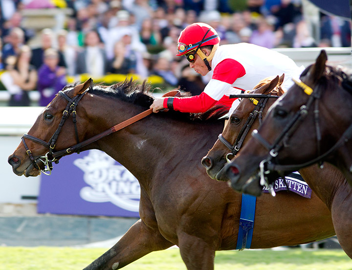 Bobby's Kitten wins the 2014 Breeders' Cup Turf Sprint at Santa Anita Park