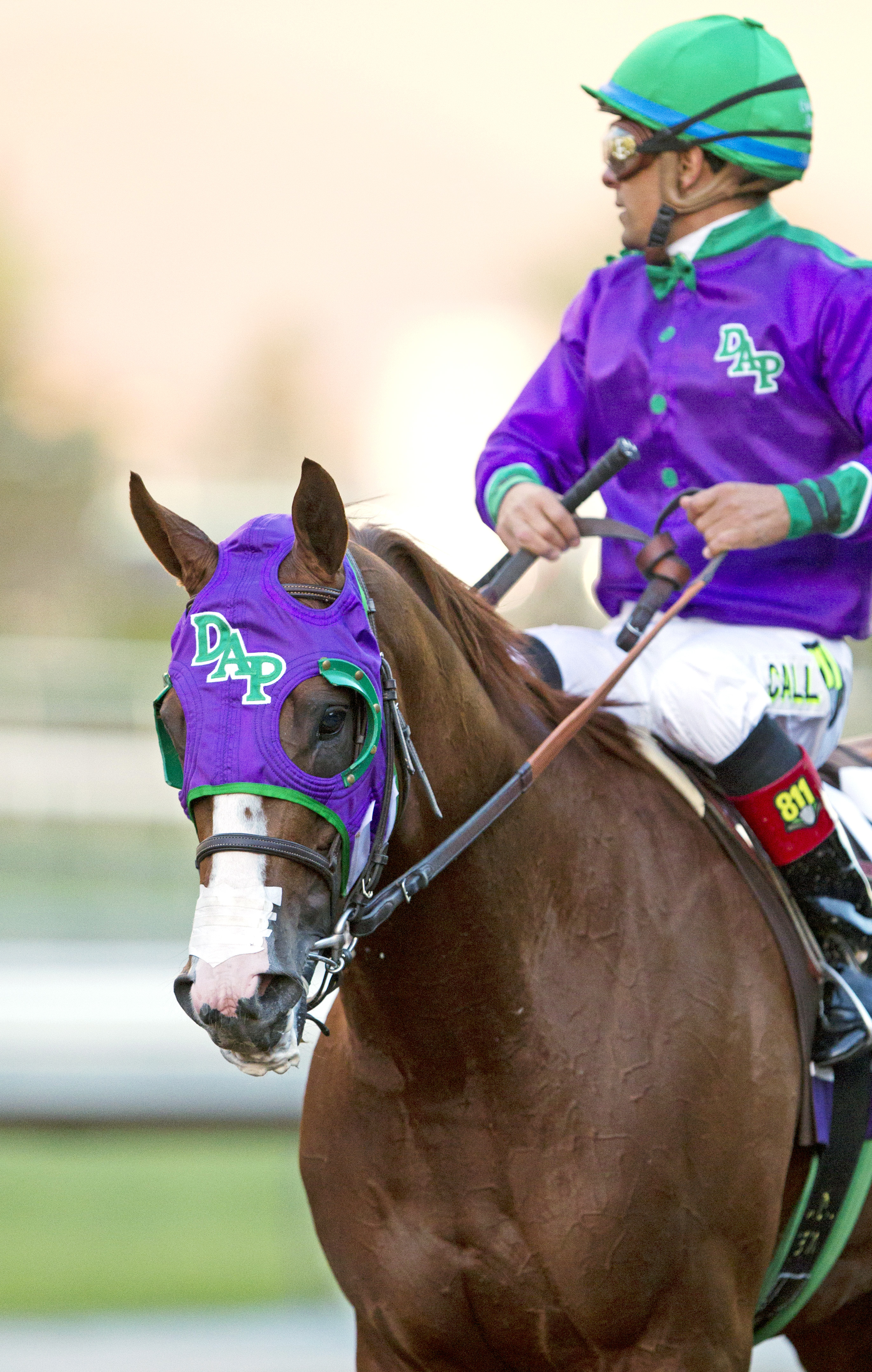 California Chrome