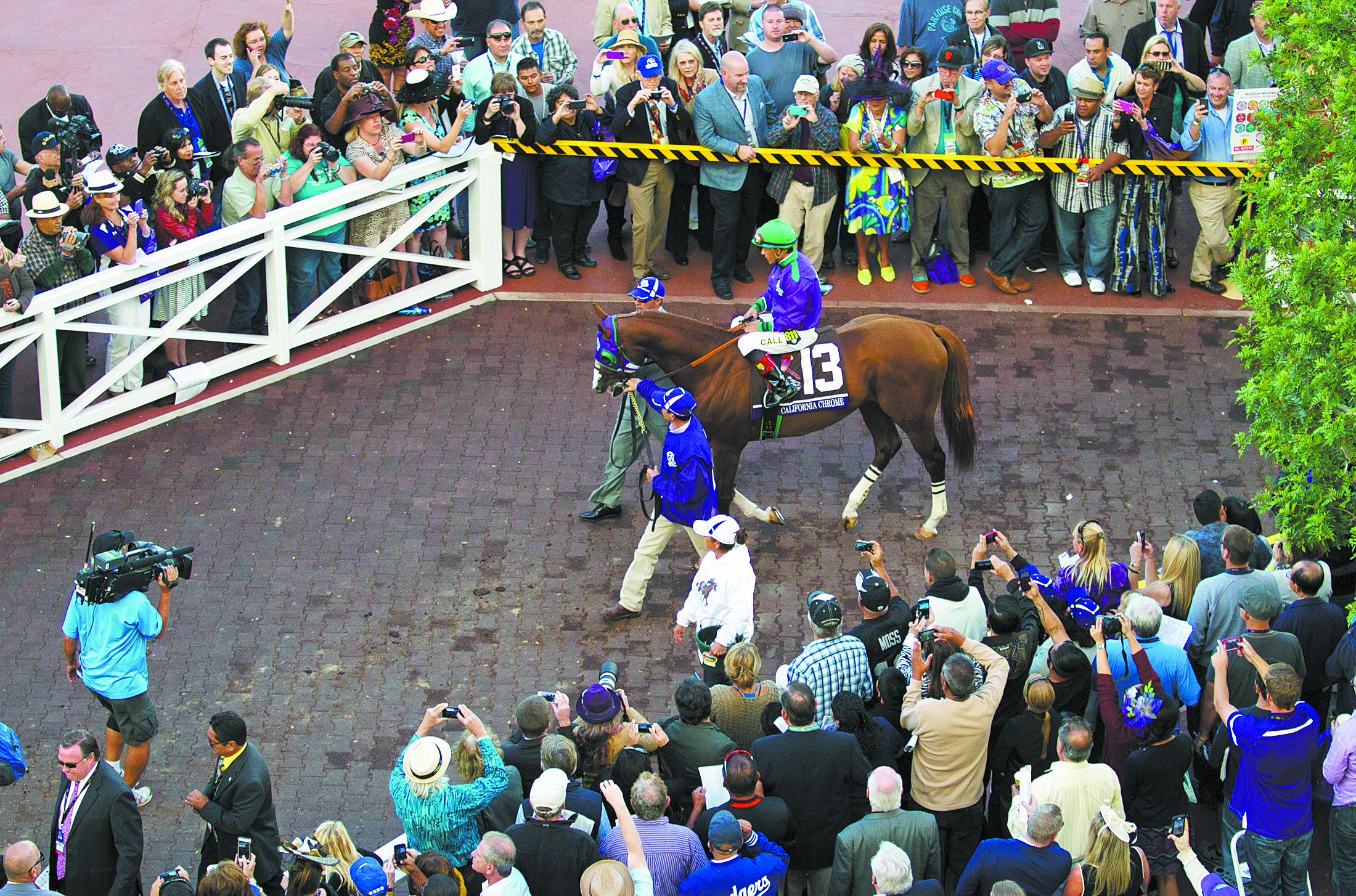 CaliforniaChrome124