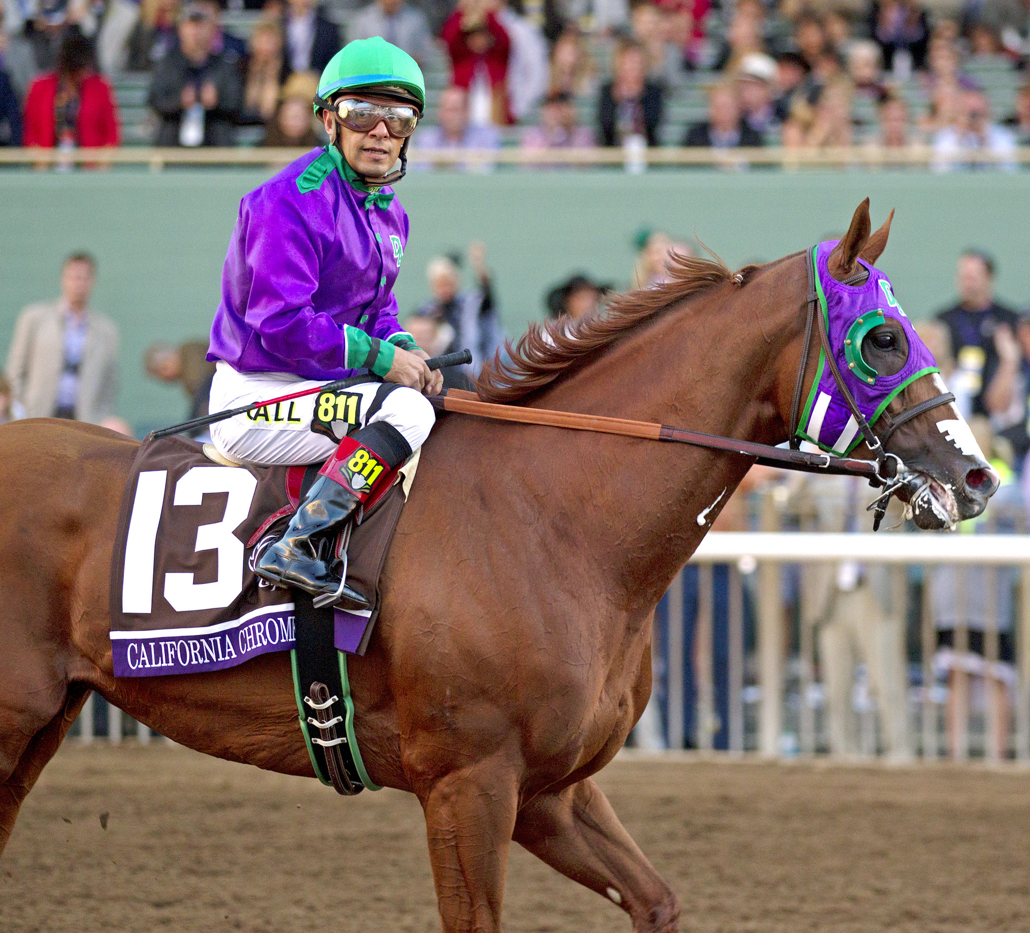 California Chrome and Victor Espinoza after the BC Classic