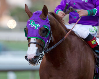 California Chrome block