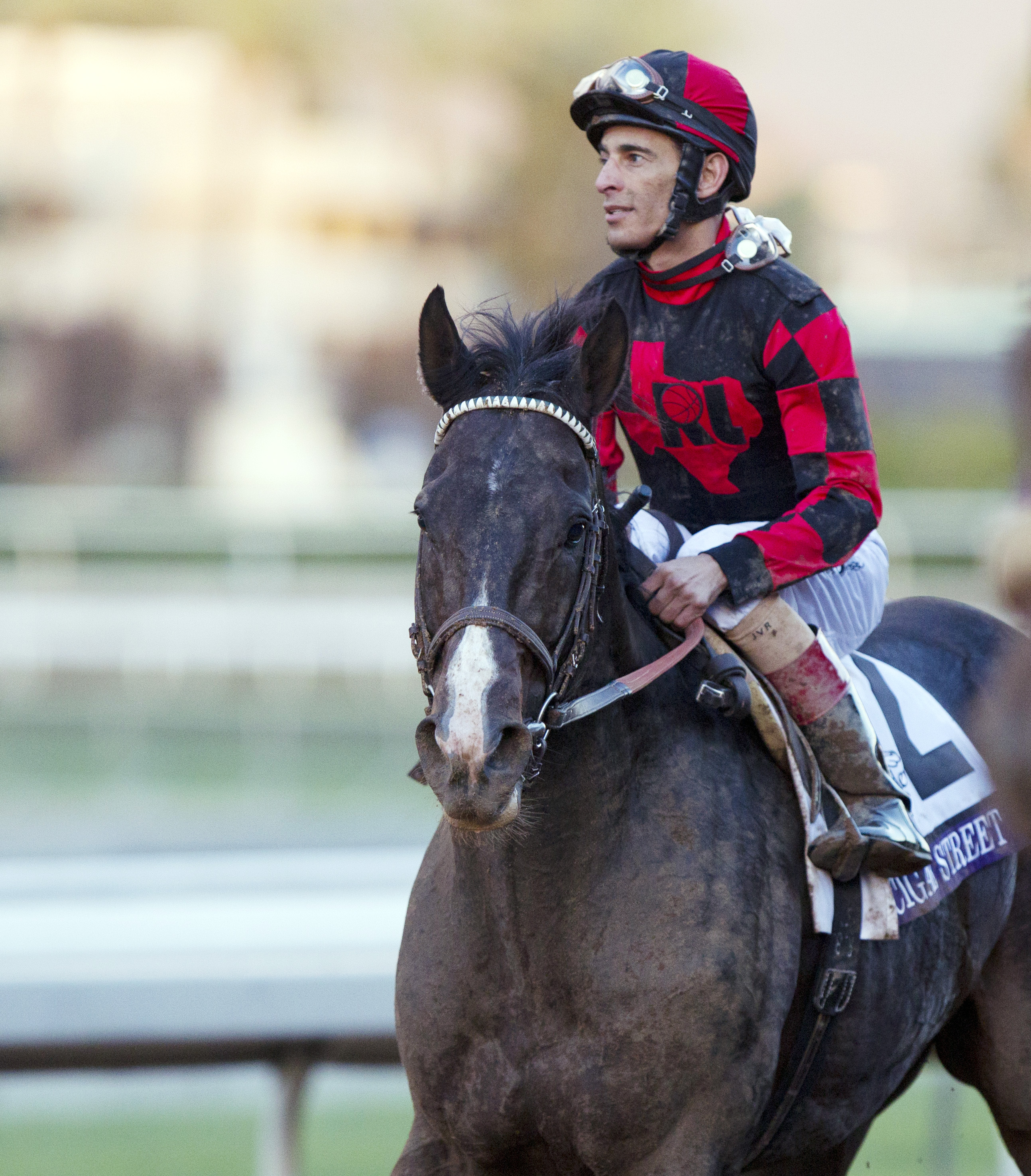 Cigar Street at the Breeders' Cup Classic