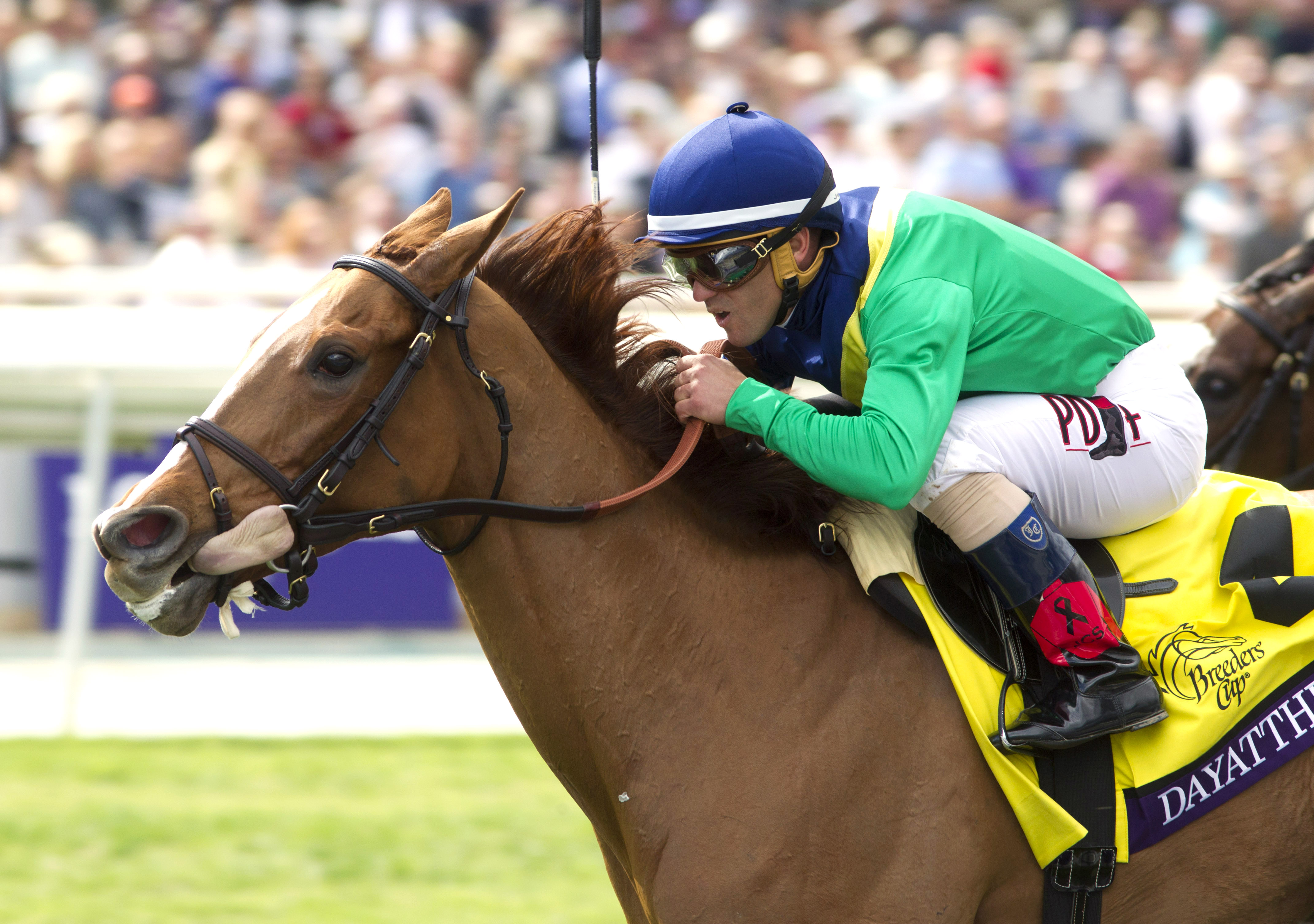 Dayatthespa wins the Breeders' Cup Filly and Mare Turf