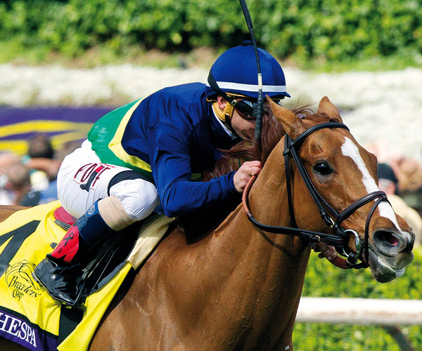 Dayatthespa Eclipse