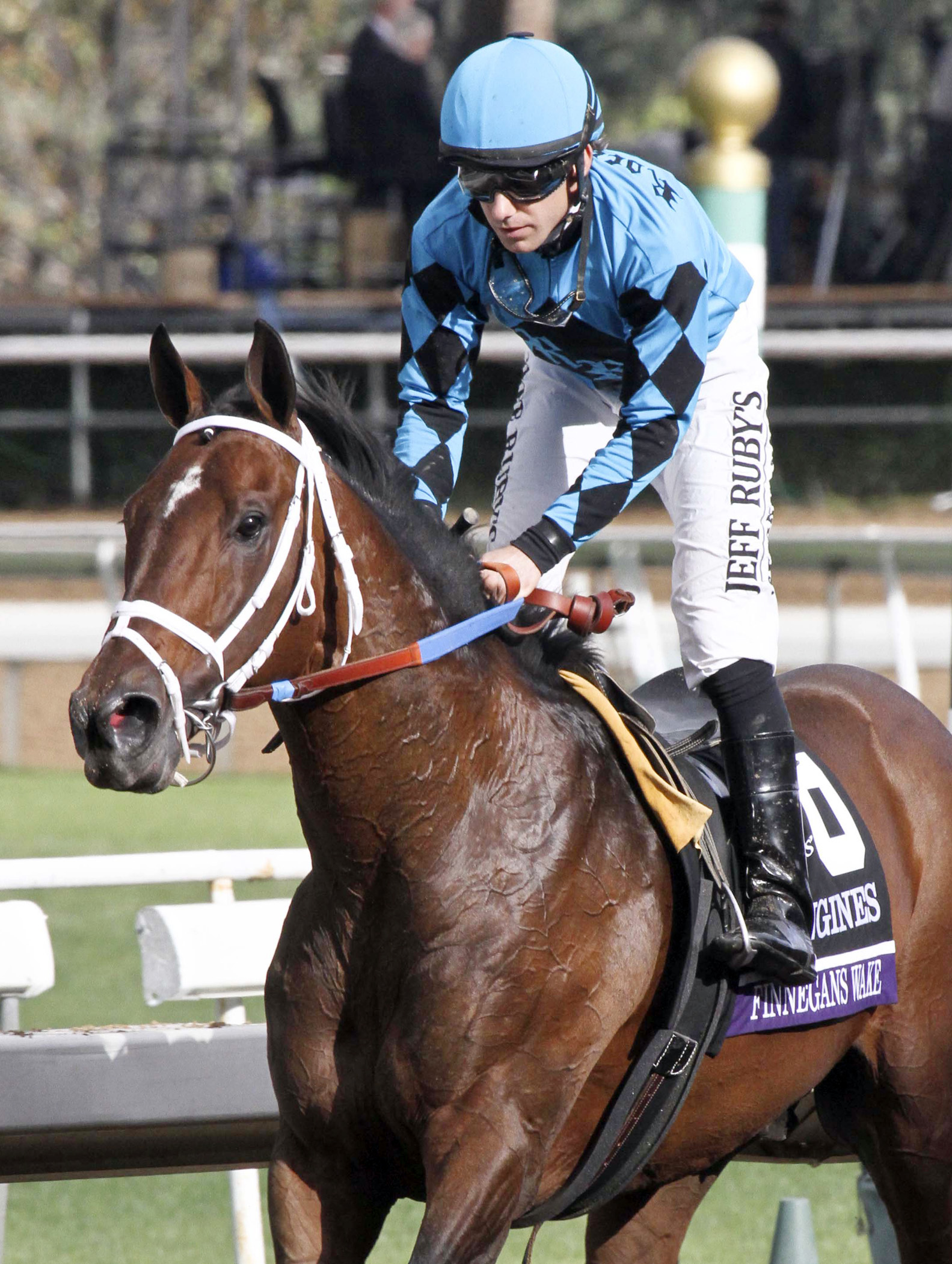 Finnegans Wake finishes 10th in the Breeders' Cup Turf