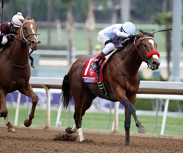 Goldencents Eclipse