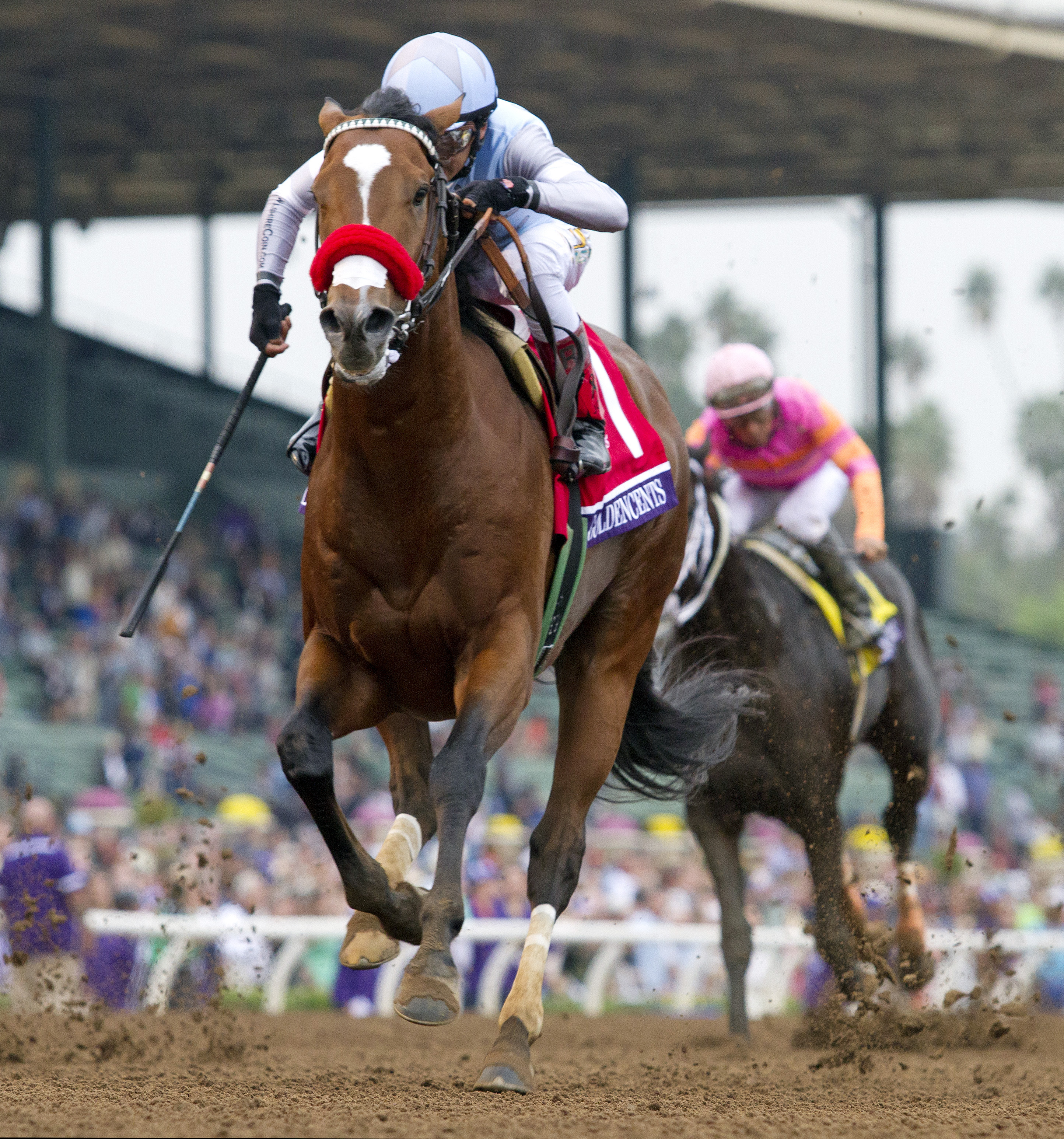 Goldencents wins the 2014 Breeders' Cup Dirt Mile