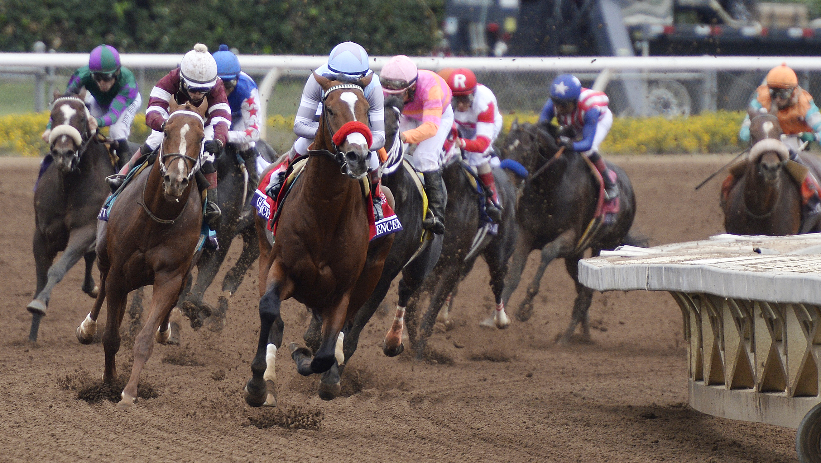 Goldencents leads into the turn in the Breeders' Cup Dirt Mile