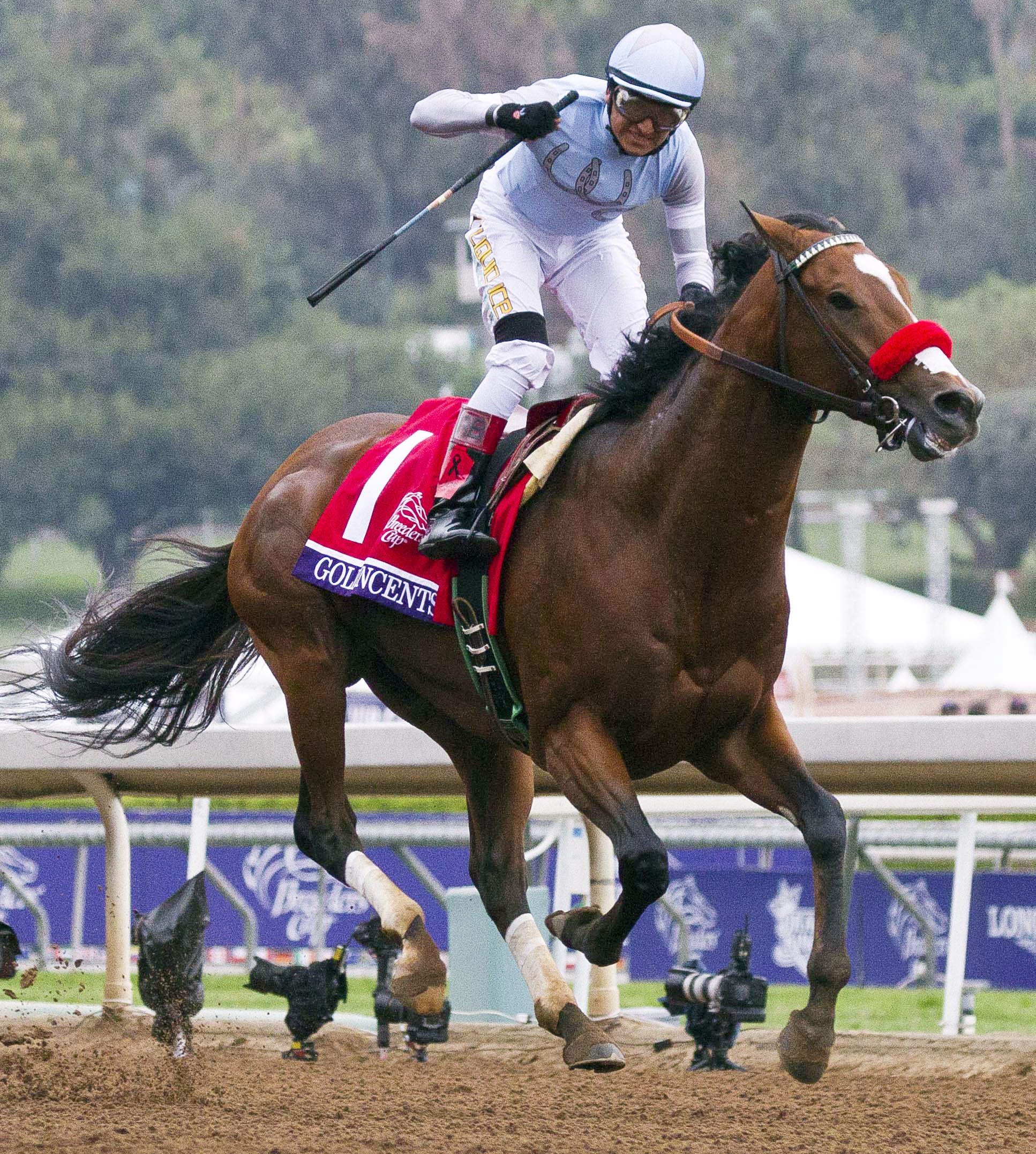 Goldencents wins the 2014 Breeders' Cup Dirt Mile
