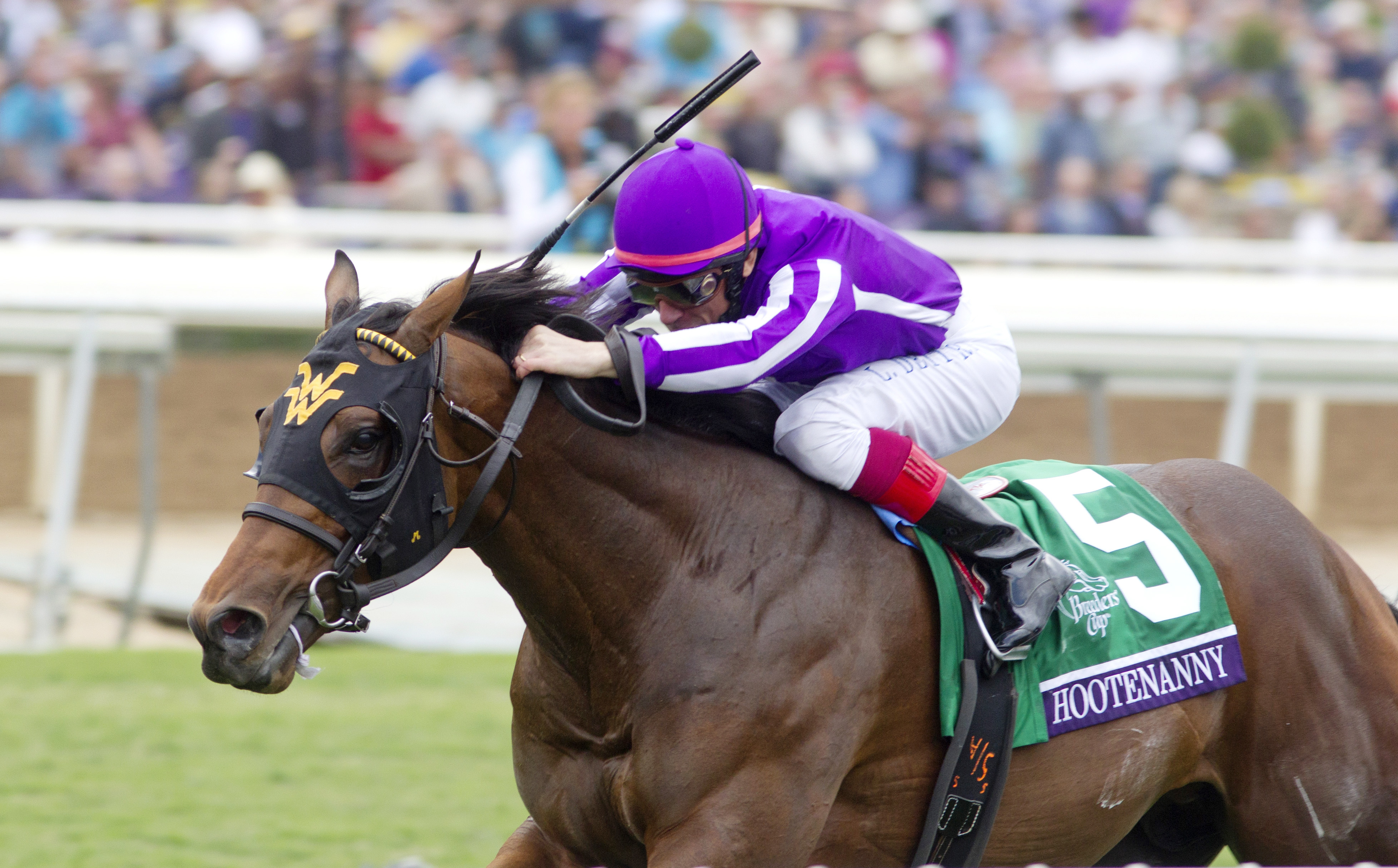Hootenanny wins the Breeders' Cup Juvenile Turf