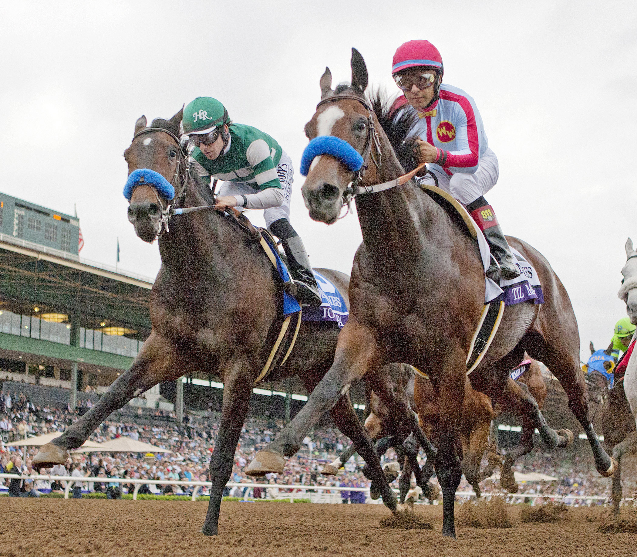 Tiz Midnight finishes sixth in the Breeders' Cup Distaff