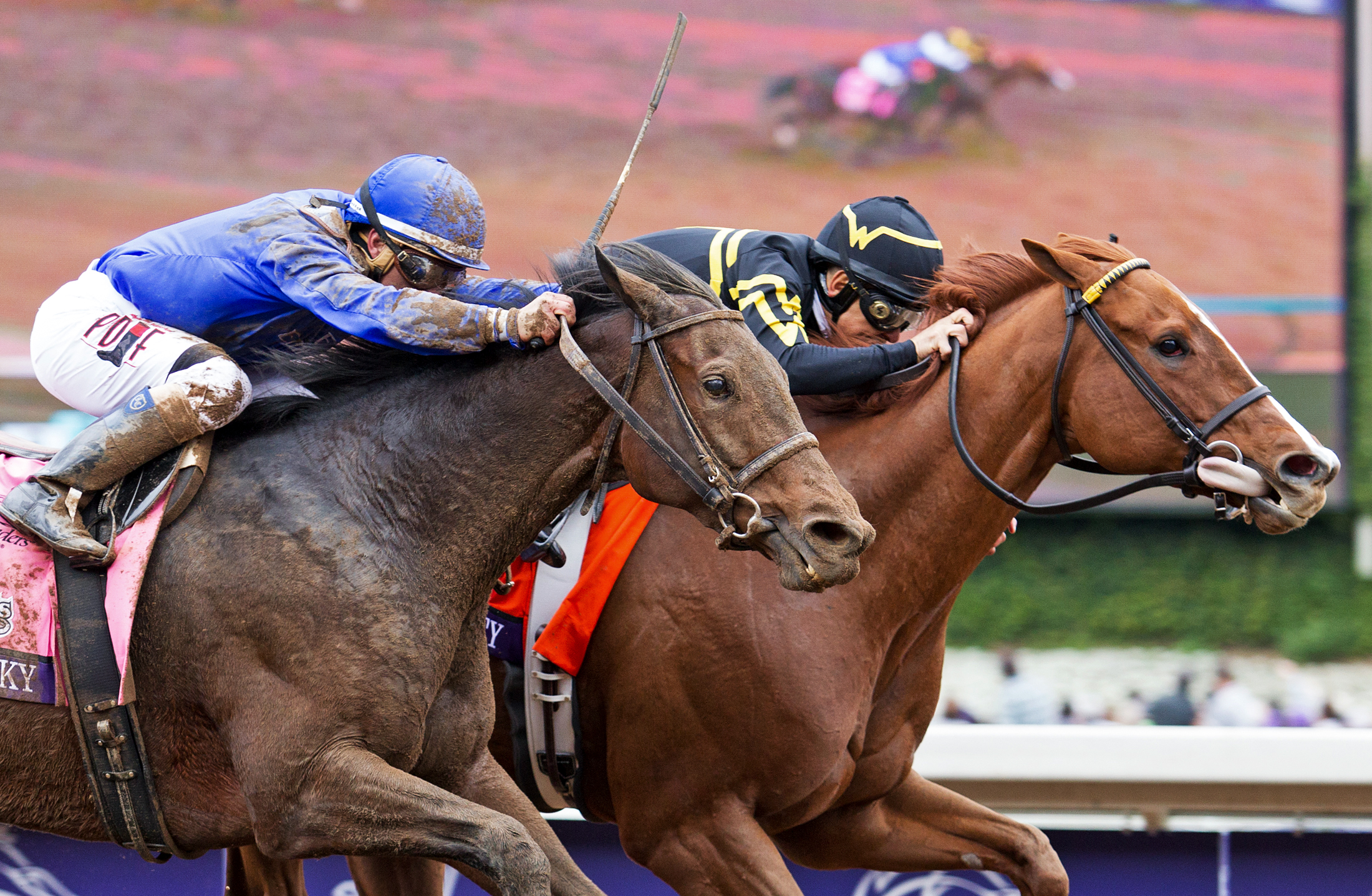 lslideshow, Judy the Beauty wins the F an M Sprint