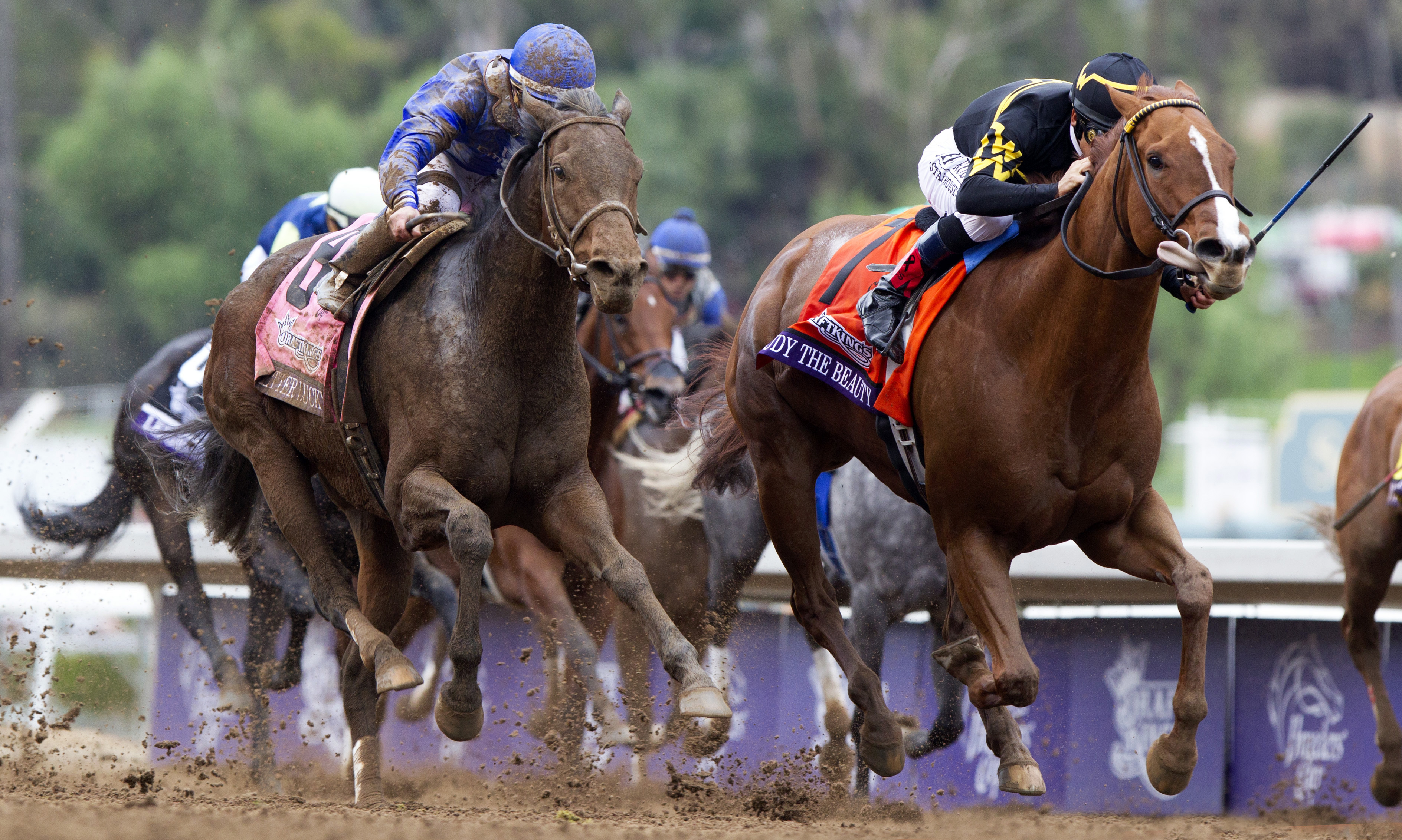 Judy the Beauty wins the Breeders' Cup Filly and Mare Sprint