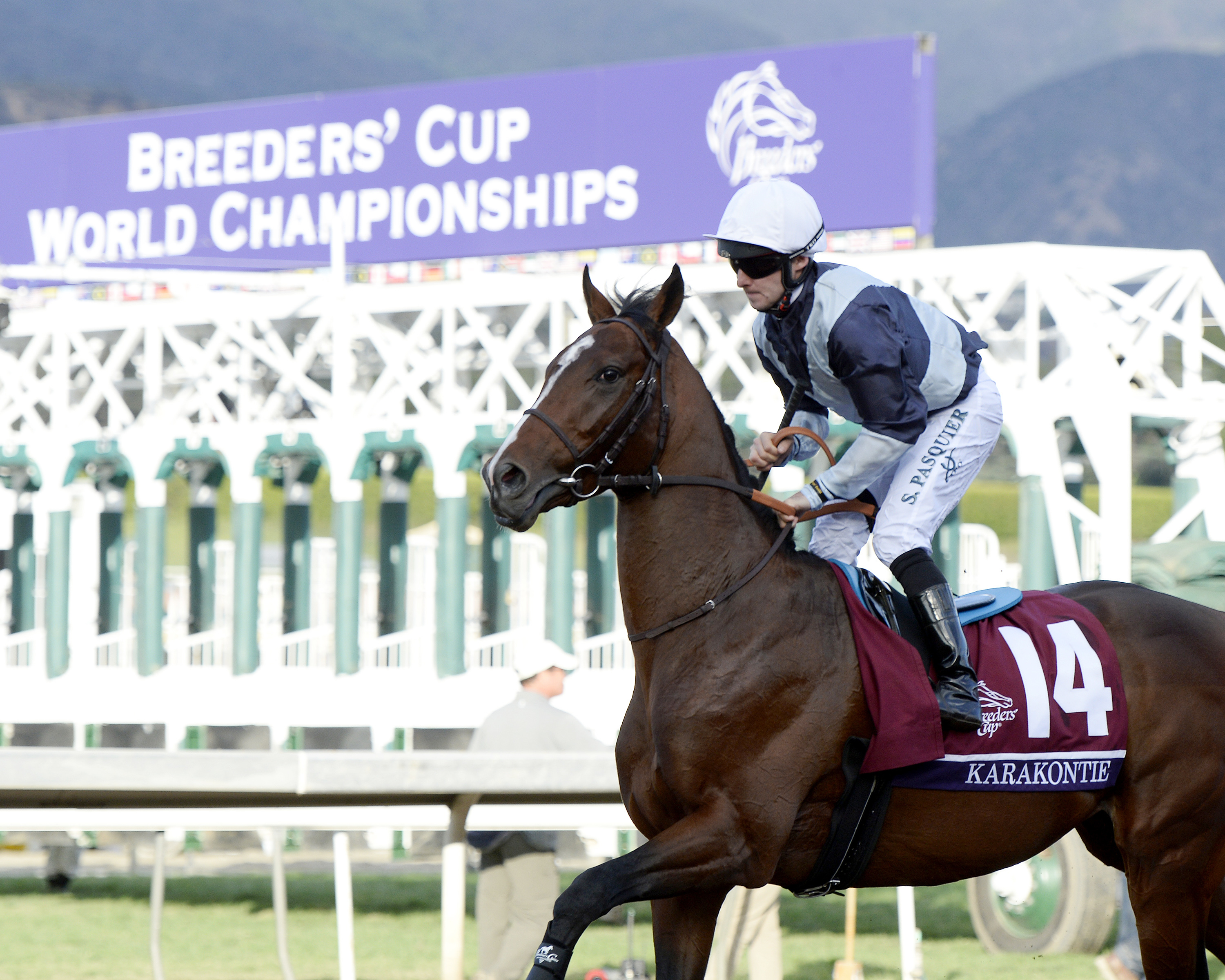 Breeders' Cup gate with Karakontie