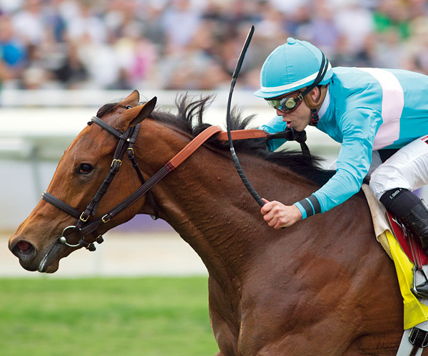 Lady Eli eclipse