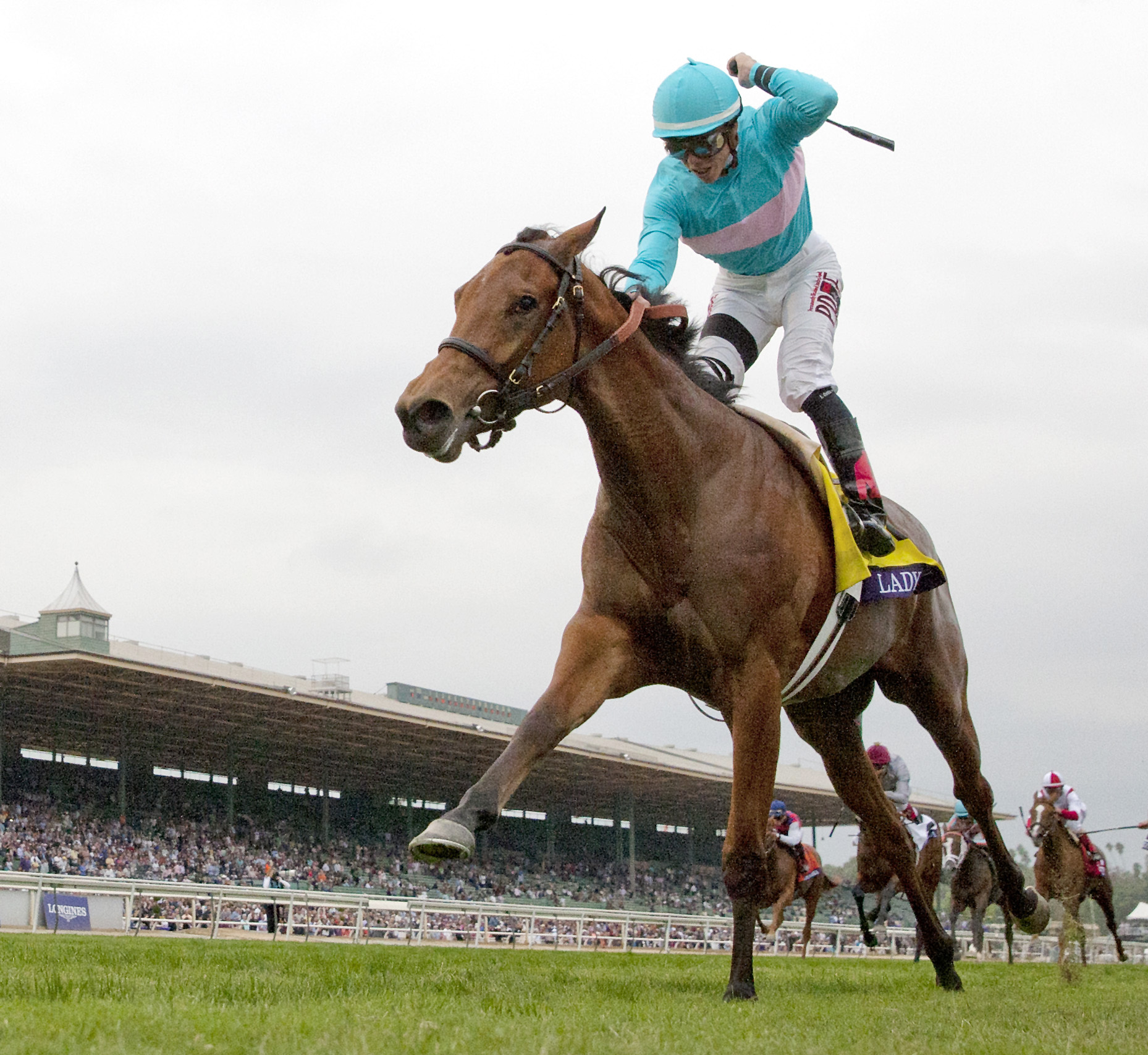 Lady Eli wins the Breeders' Cup Juvenile Fillies Turf Stakes