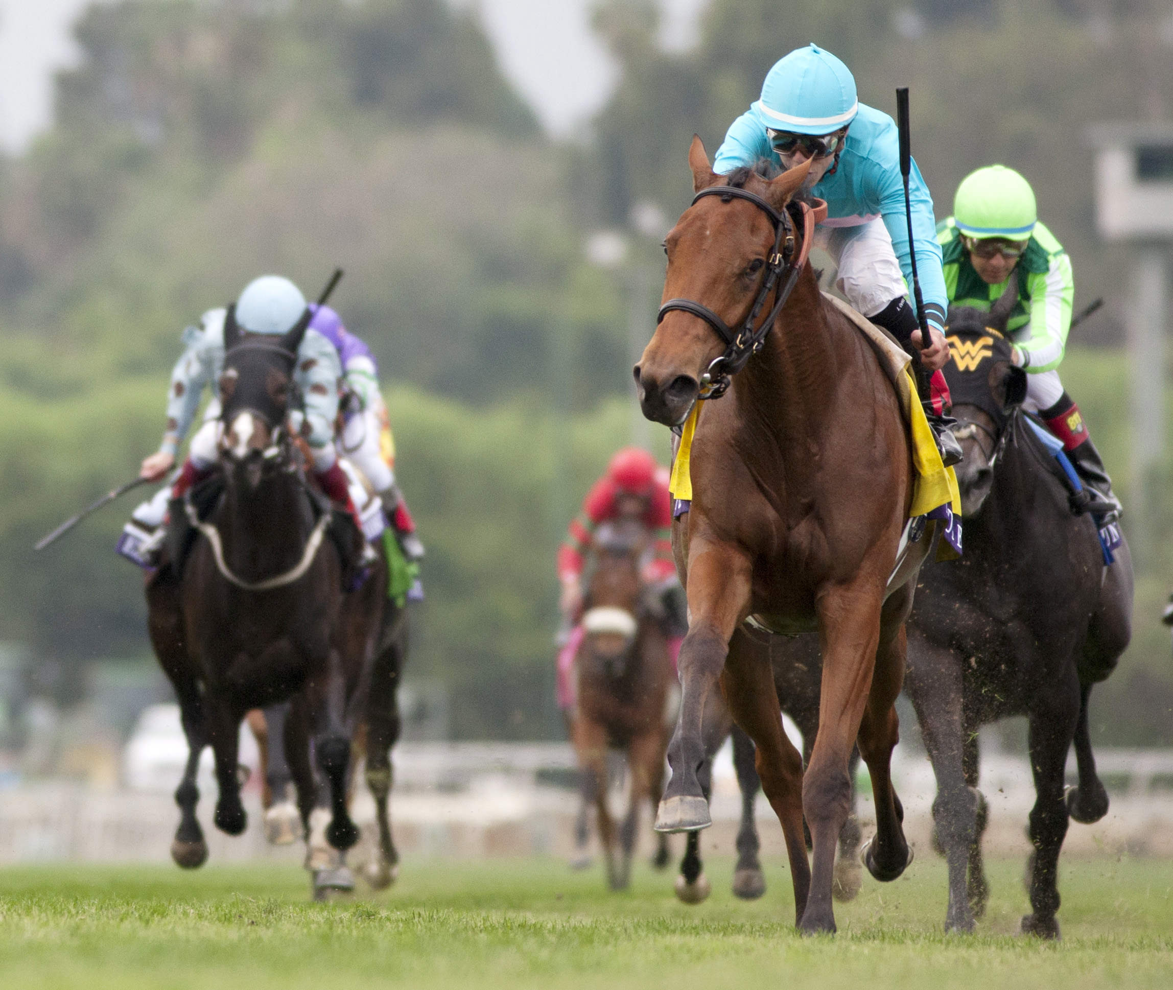 Lady Eli wins the 2014 Breeders' Cup Juvenile Fillies Turf Stakes.