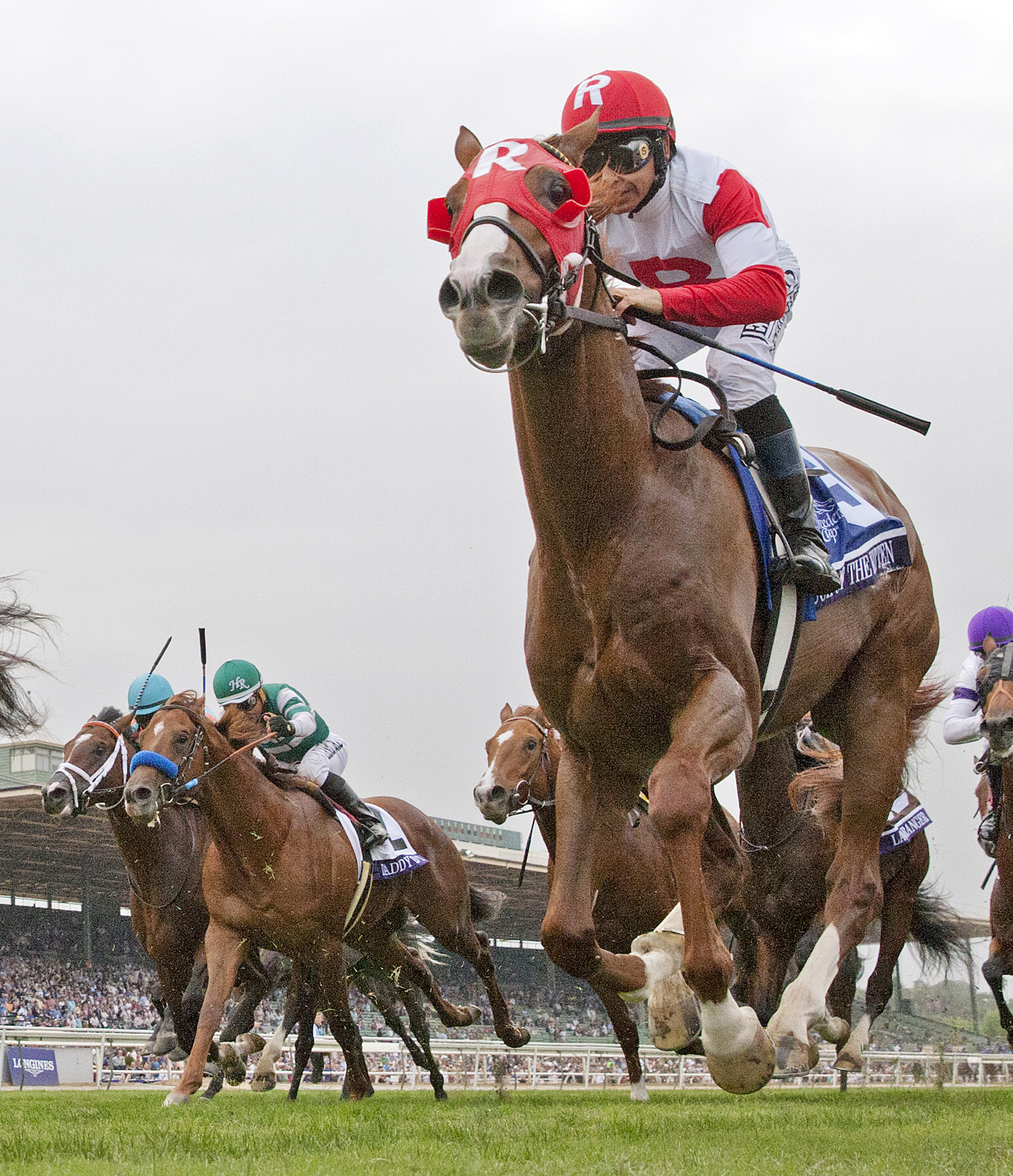 Luck of the Kitten finishes second in the 2014 Breeders' Cup Juvenile Turf