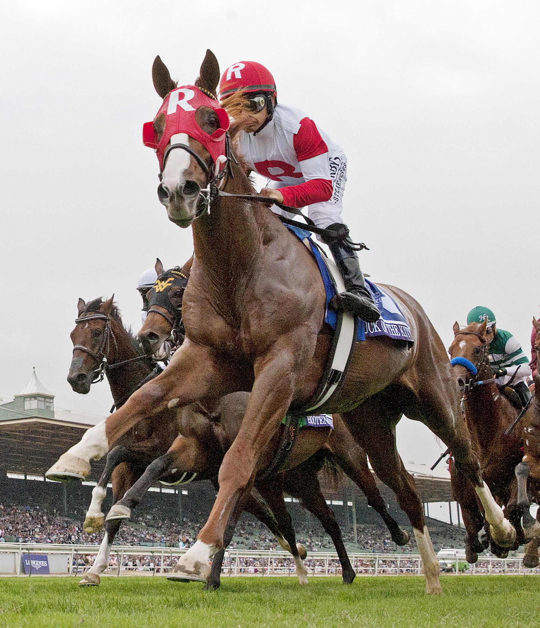 Luck of the Kitten finishes second in the Breeders' Cup Juvenile Turf Stakes