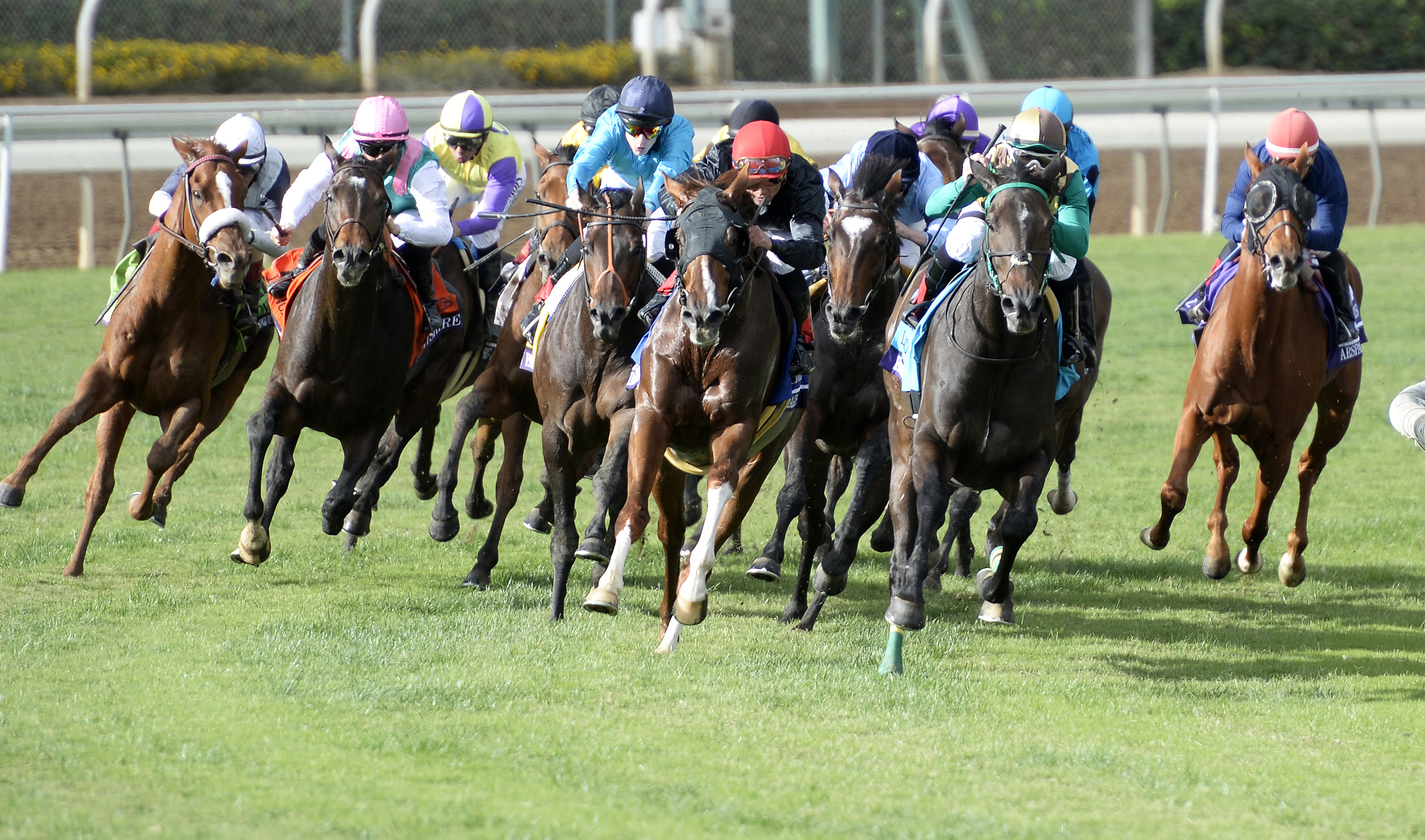 Santa Anita turf racing
