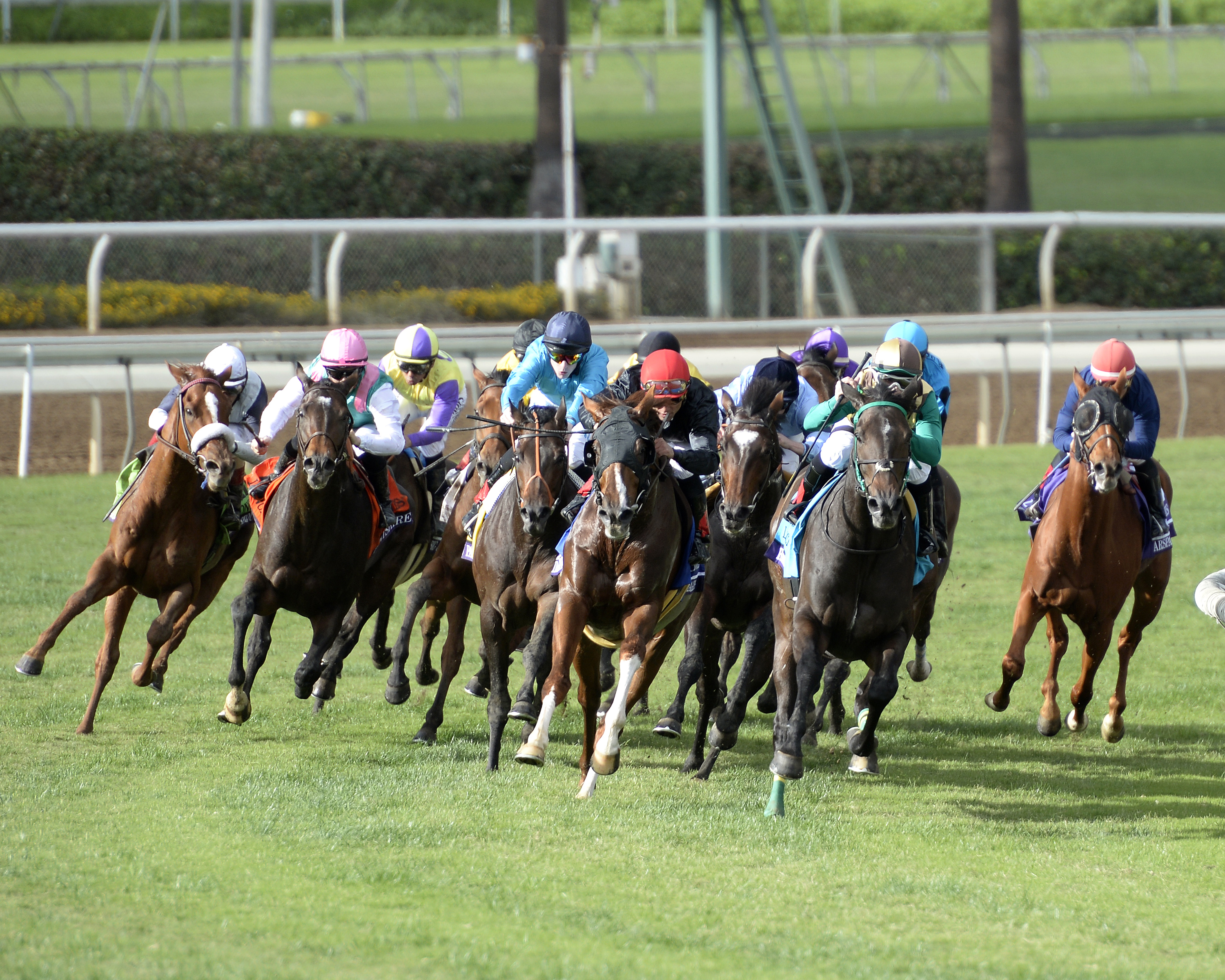 Santa Anita turf racing