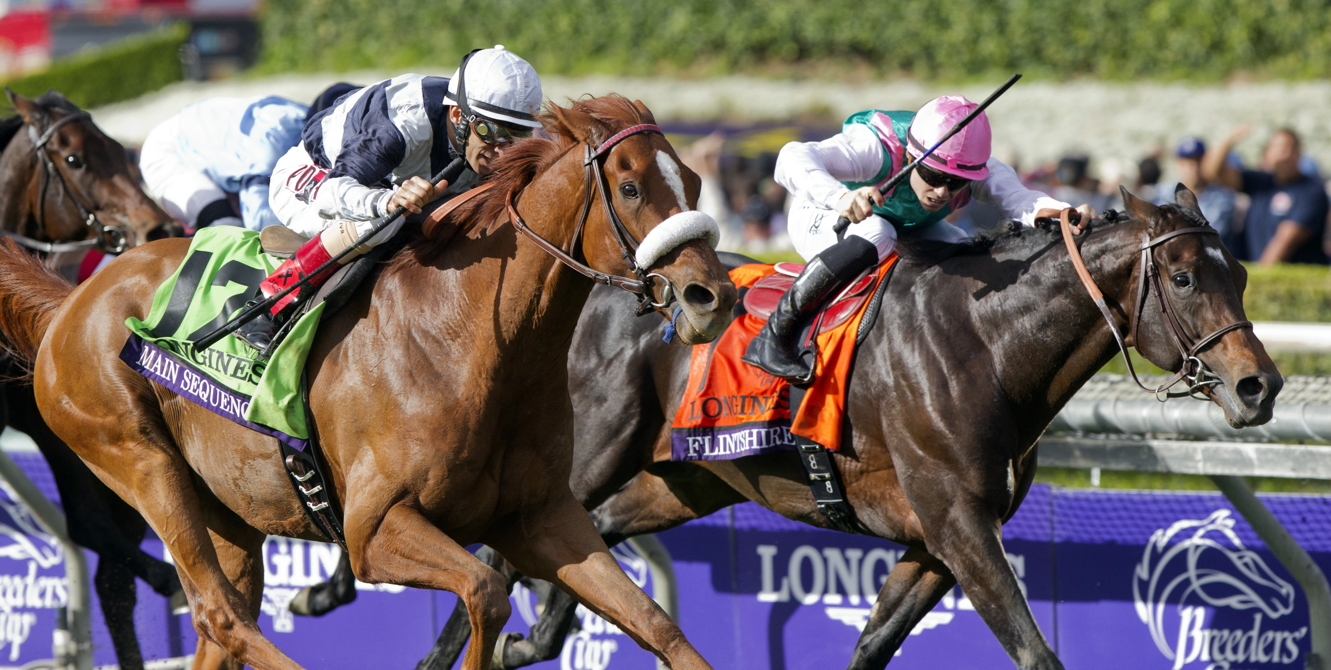 Main Sequence wins the Breeders' Cup Turf