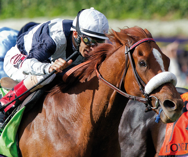 Main sequence eclipse