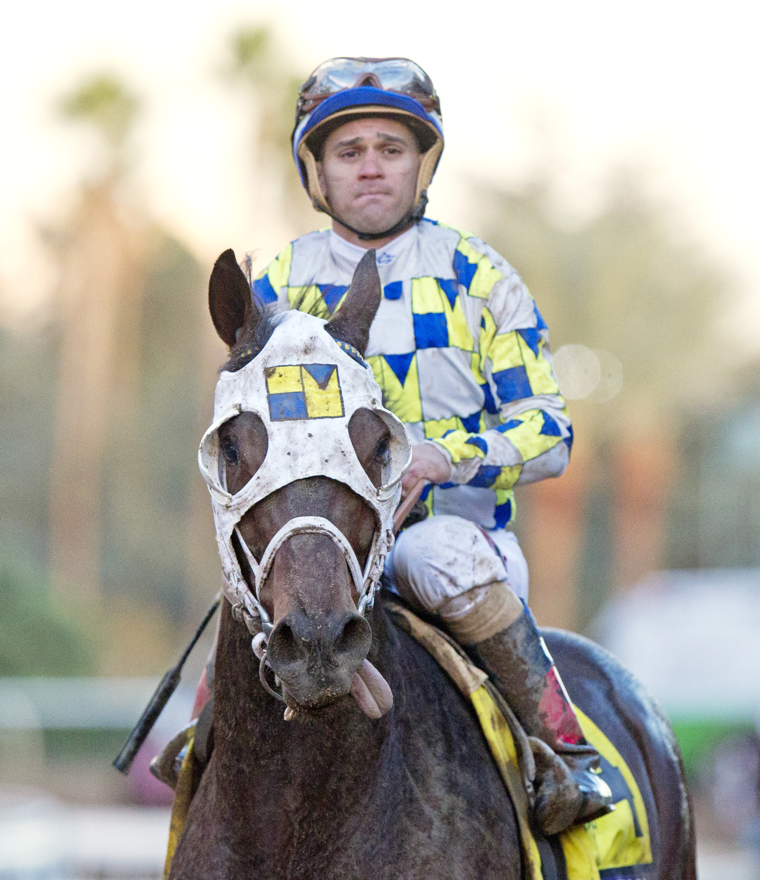 Moreno after finishing 14th in the Breeders' Cup Classic