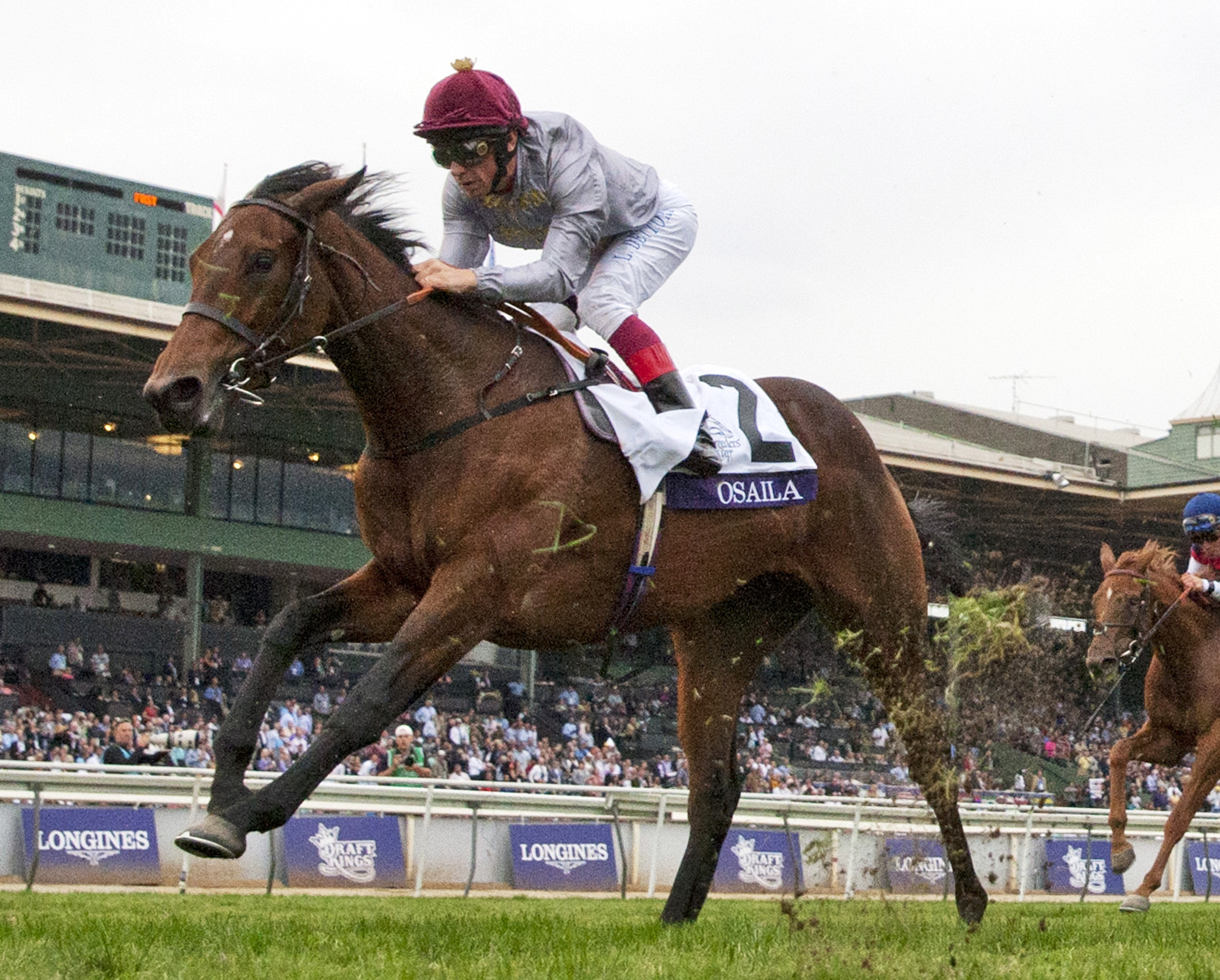 Osaila finishes third in the Breeders' Cup Juvenile Fillies Turf