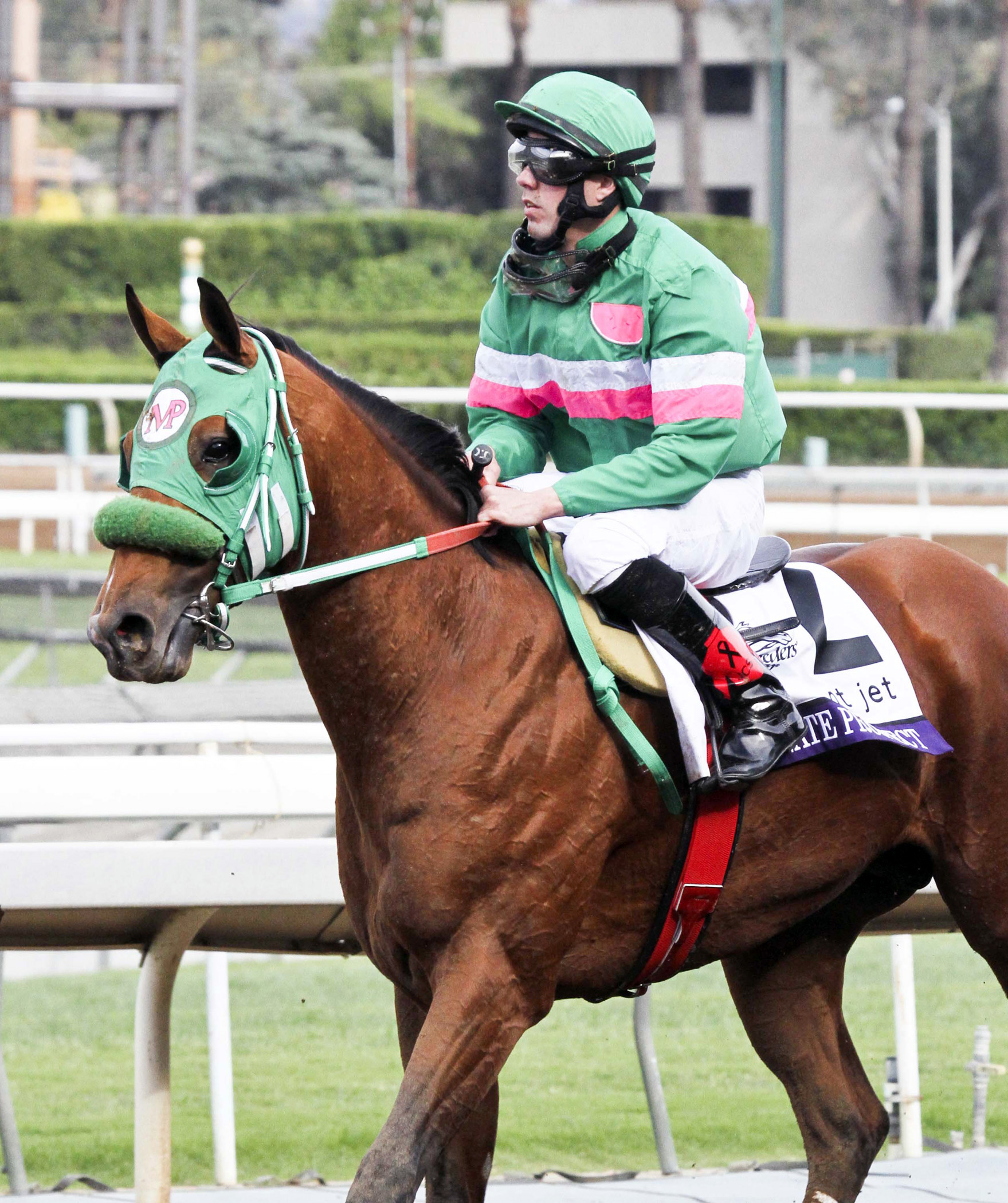 Private Prospect finishes ninth in the Breeders Cup Juvenile