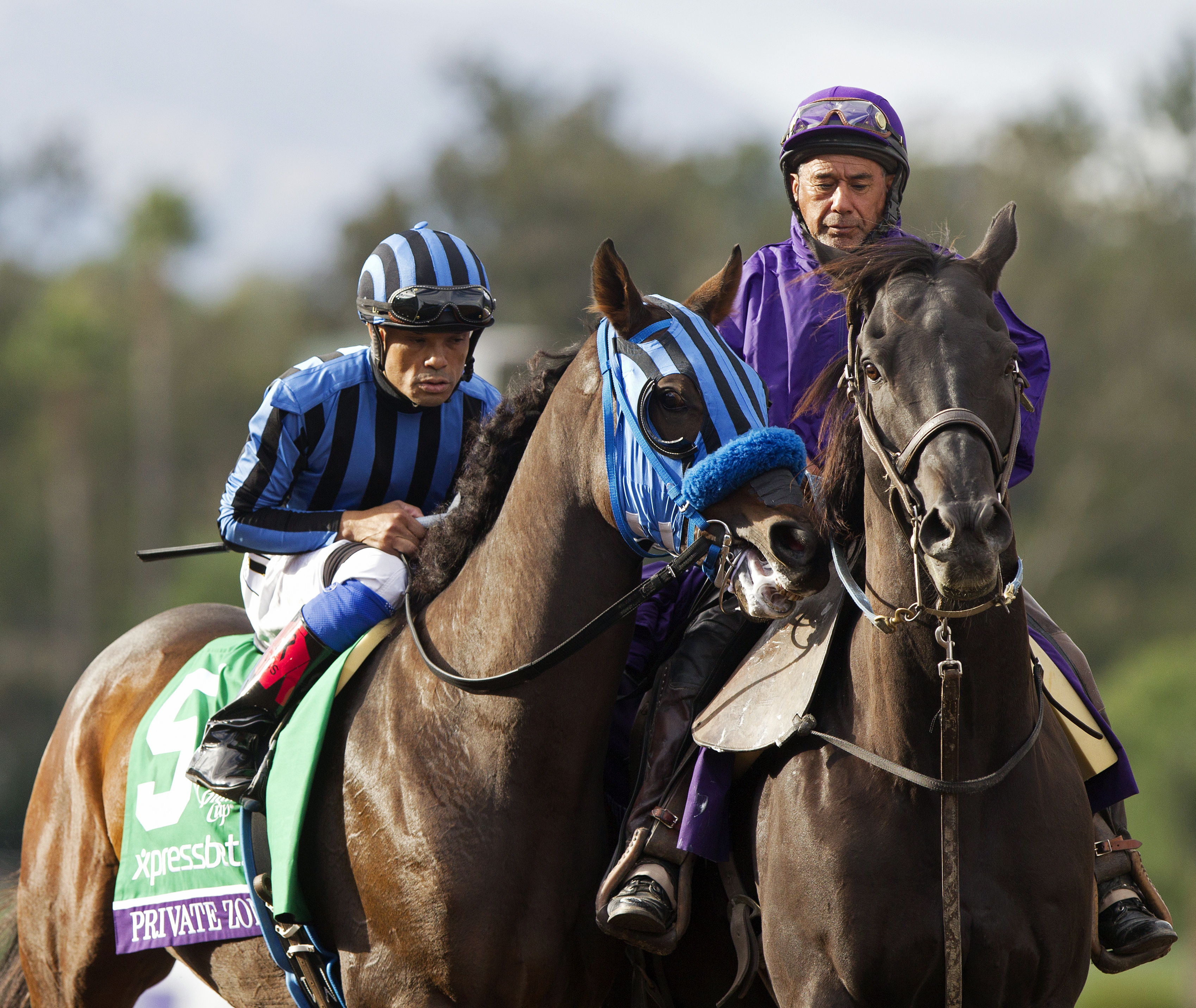Private Zone finishes third in the Breeders' Cup Sprint