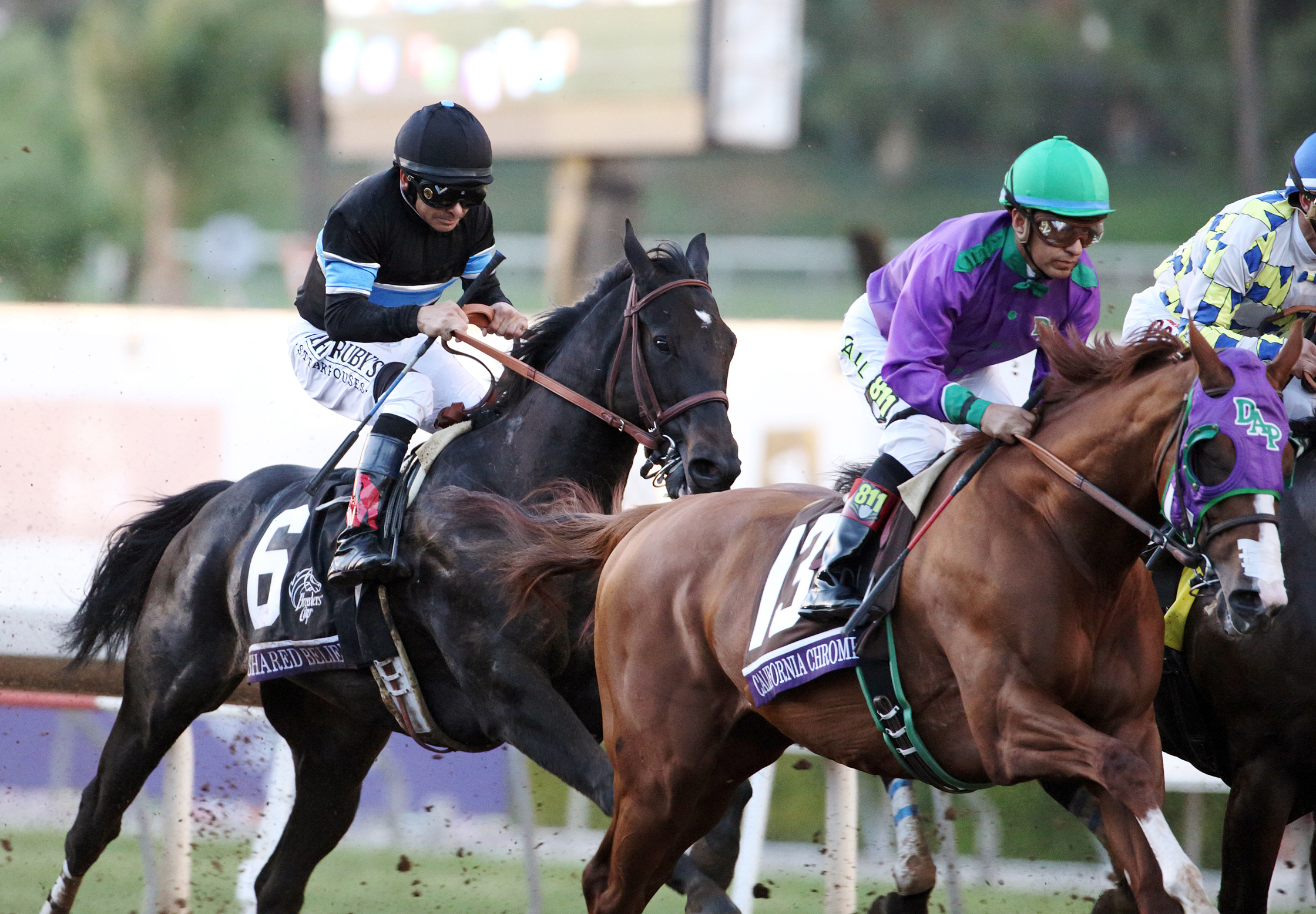 Shared Belief pulls up early in the Breeders' Cup Classic