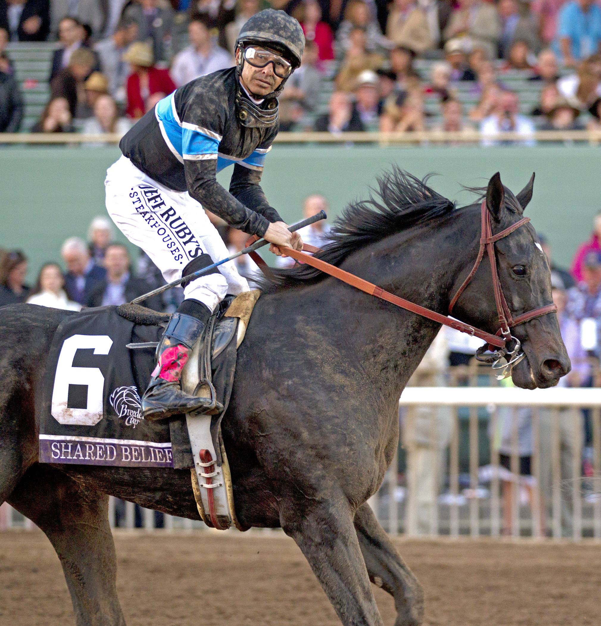 Shared Belief finishes fourth in the Breeders' Cup Classic