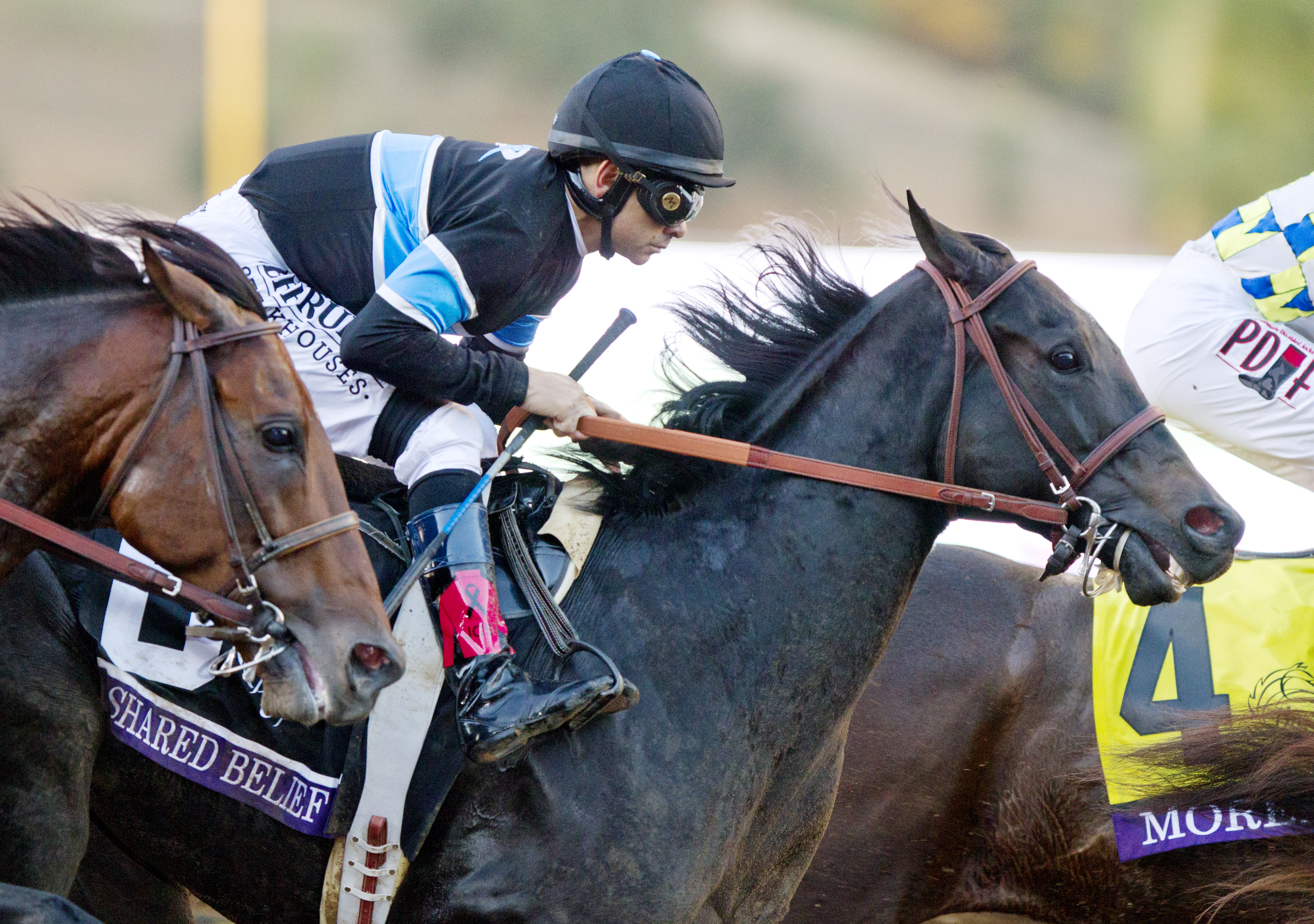 Shared Belief in the Breeders' Cup Classic