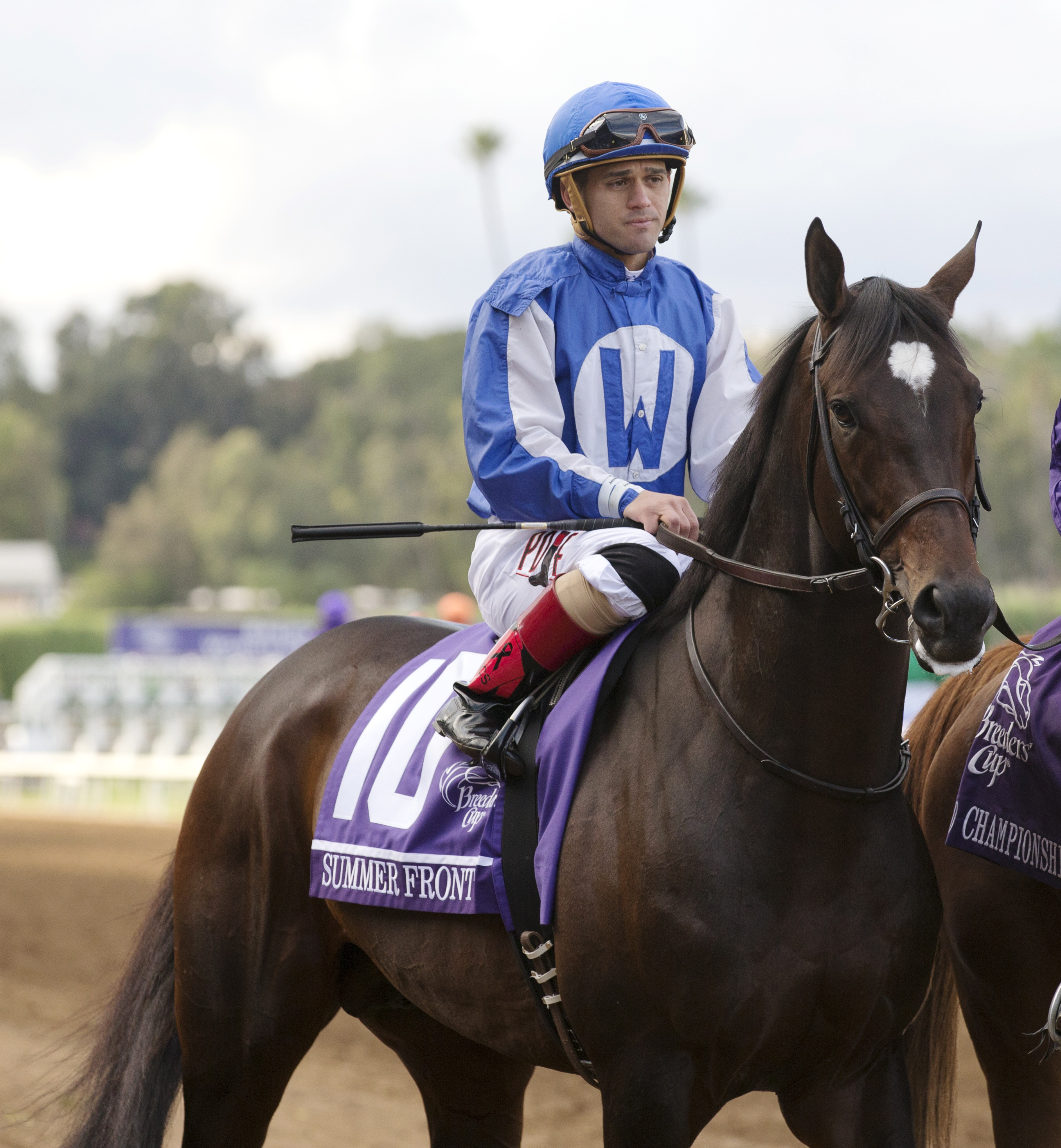 Summer Front finishes fourth in the BC Mile