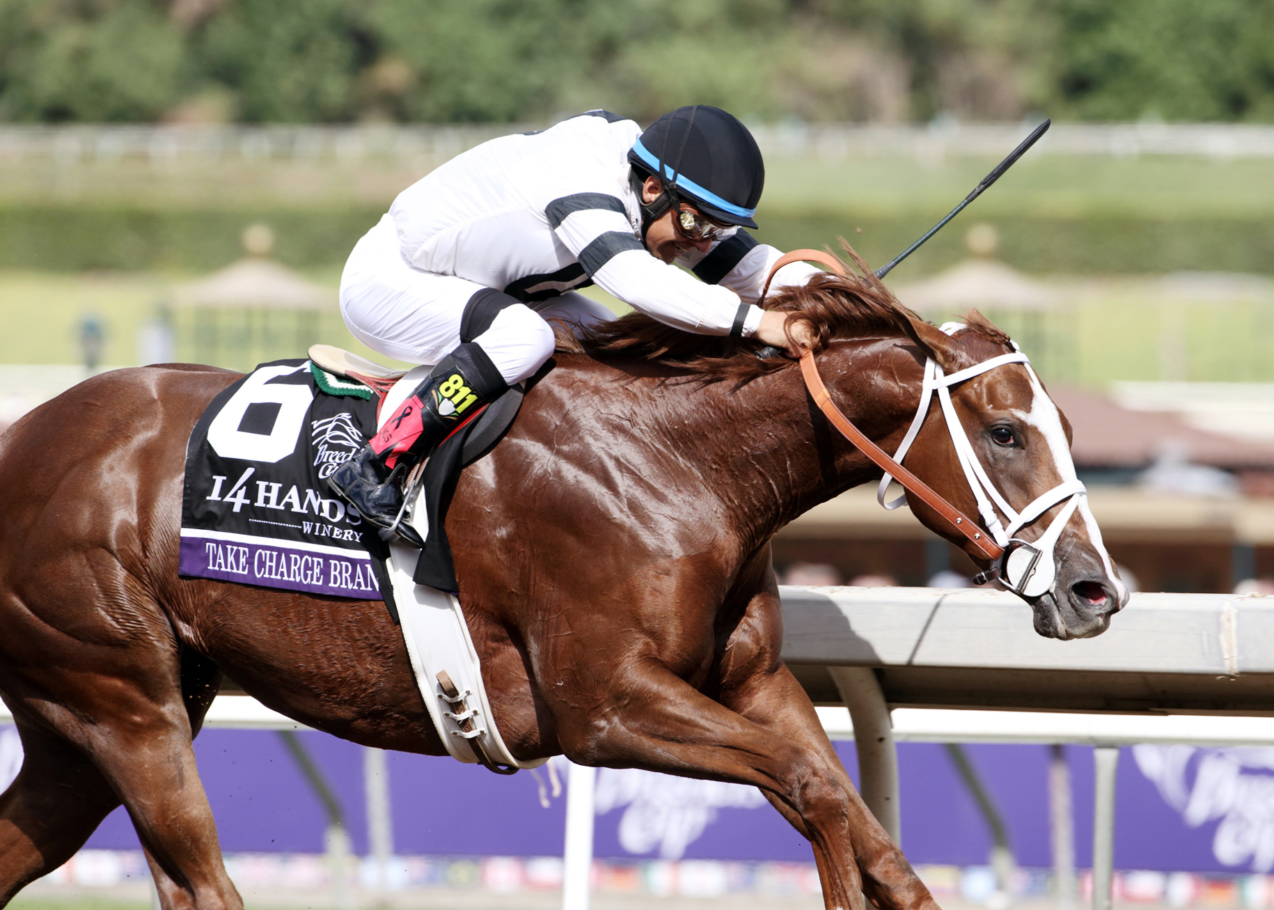 Take Charge Brandi wins the Breeders' Cup Juvenile Fillies