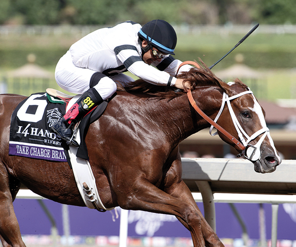 Take Charge Brandi eclipse