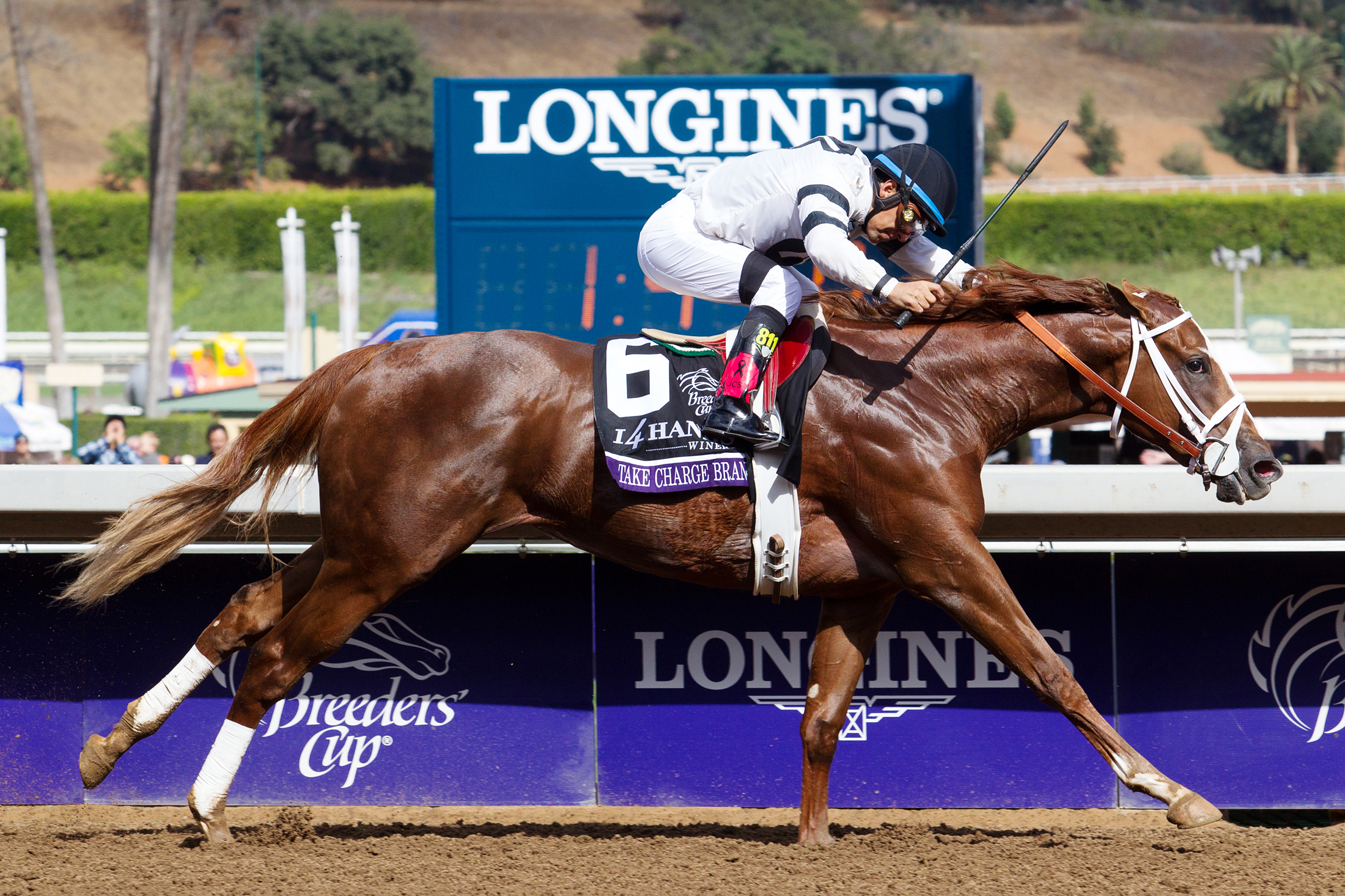Take Charge Brandi wins the Breeders' Cup Juvenile Fillies Stakes