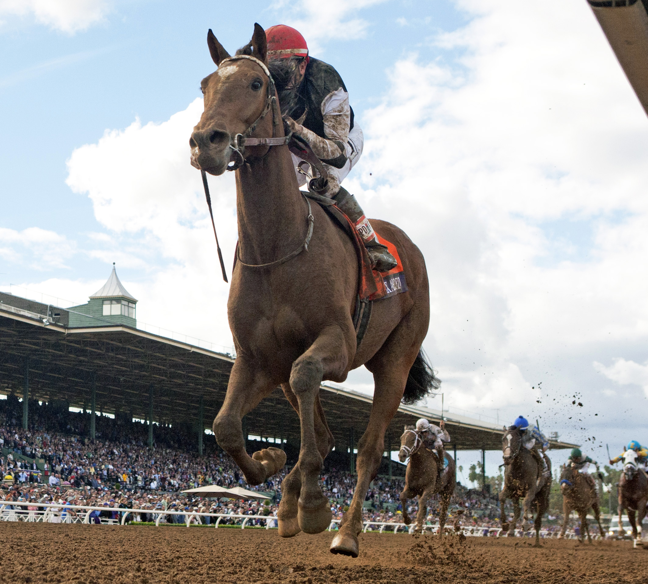 Texas Red wins the Breeders' Cup Juvenile