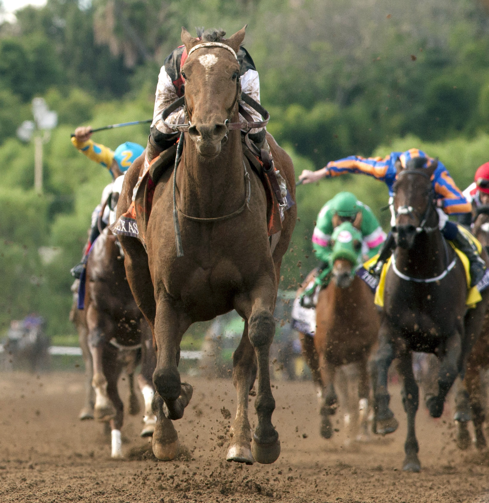 Texas Red wins the Breeders' Cup Juvenile