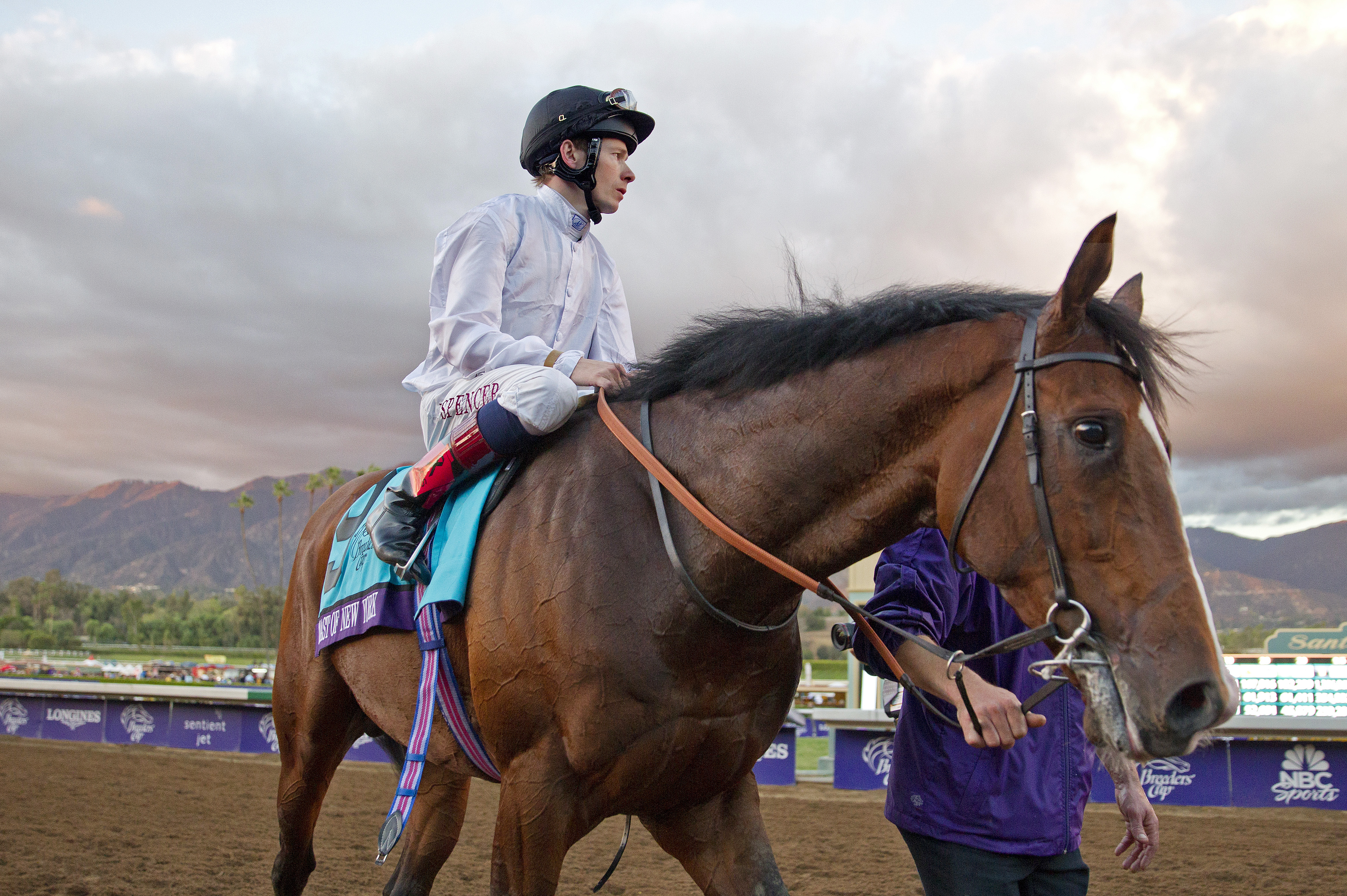 Toast of New York at the Breeders' Cup Classic