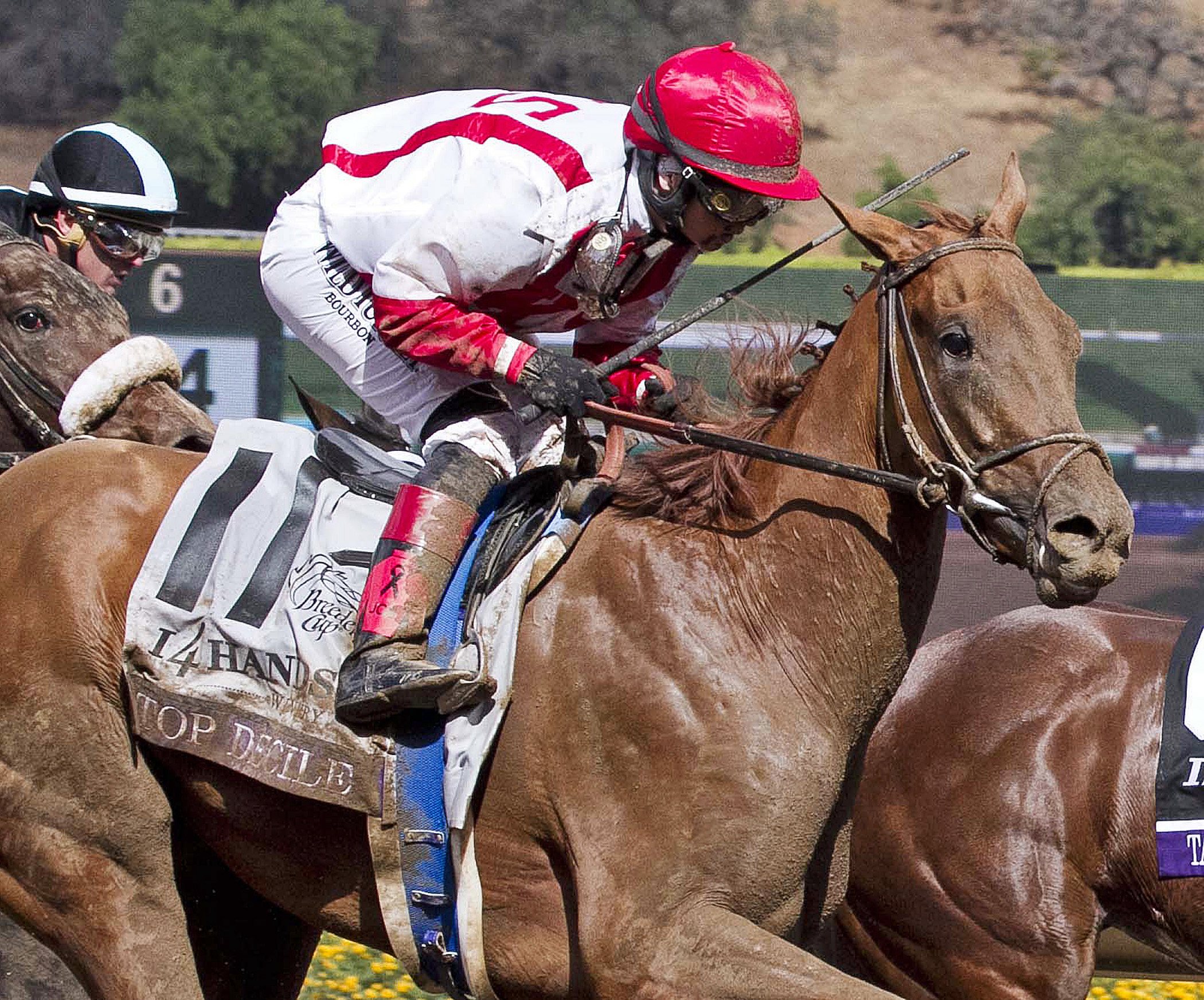 Top Decile finishes second in the Breeders' Cup Juvenile Fillies