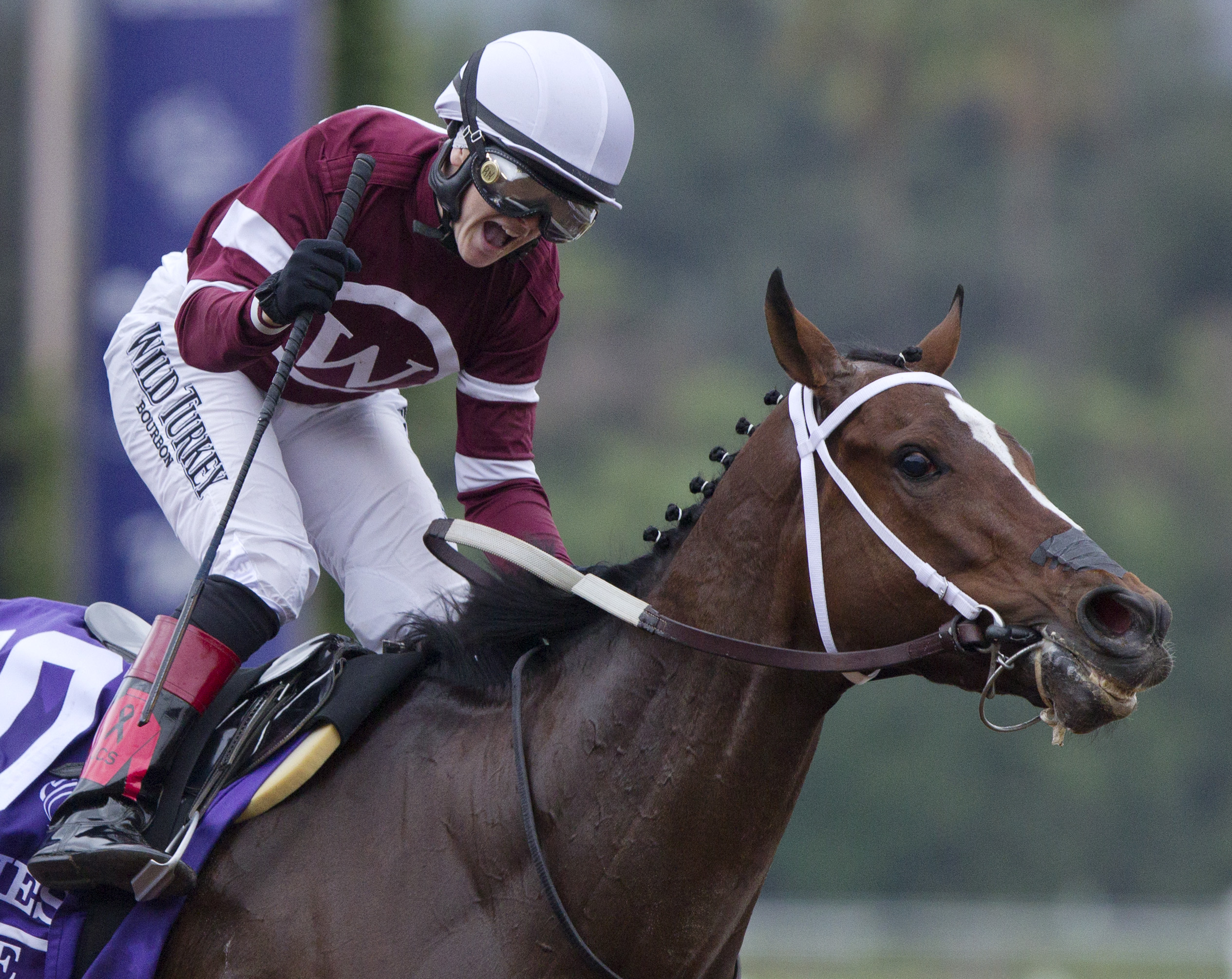 Untapable in the BC Distaff