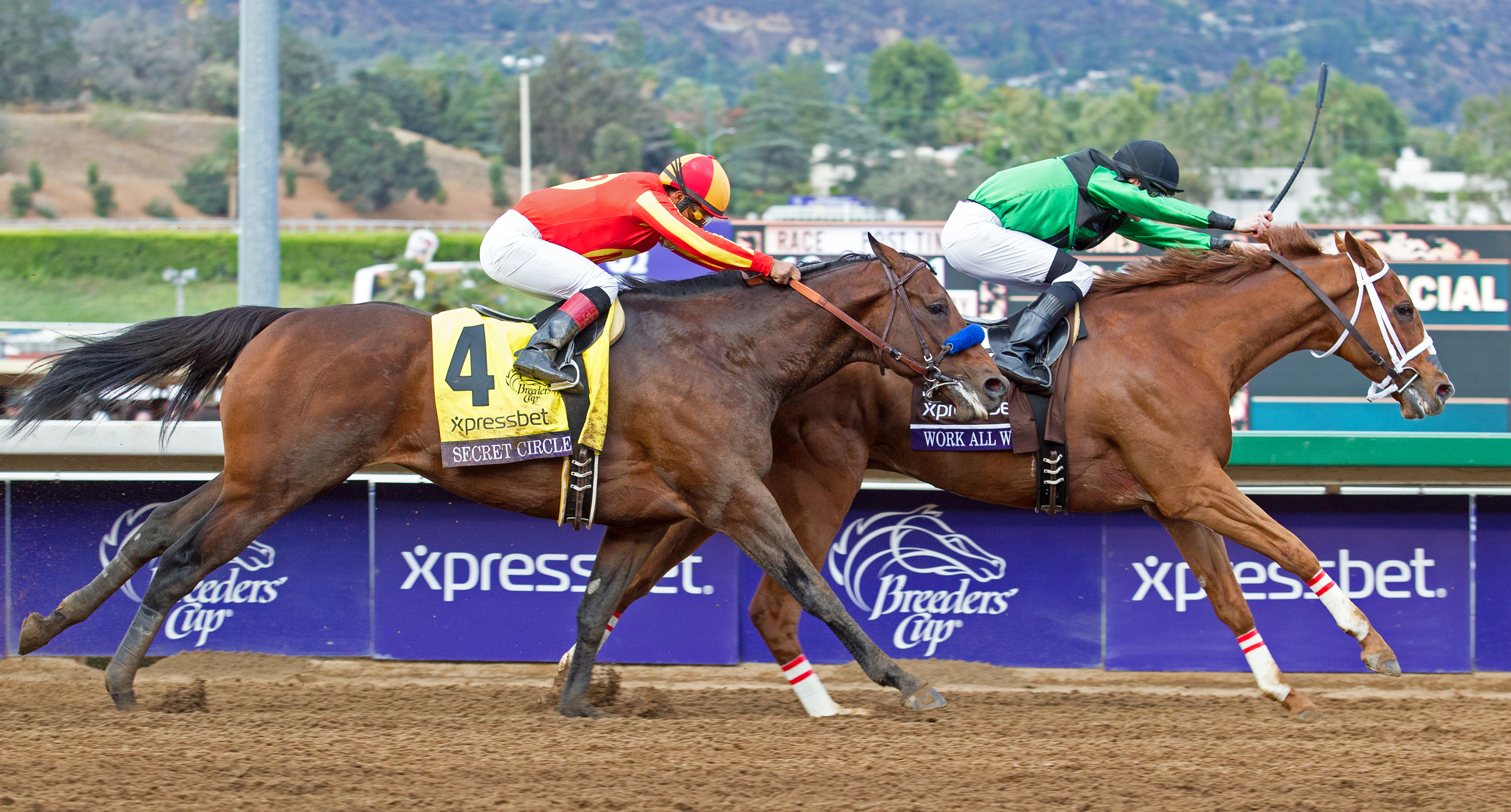 Work All Week wins the Breeders' Cup Sprint