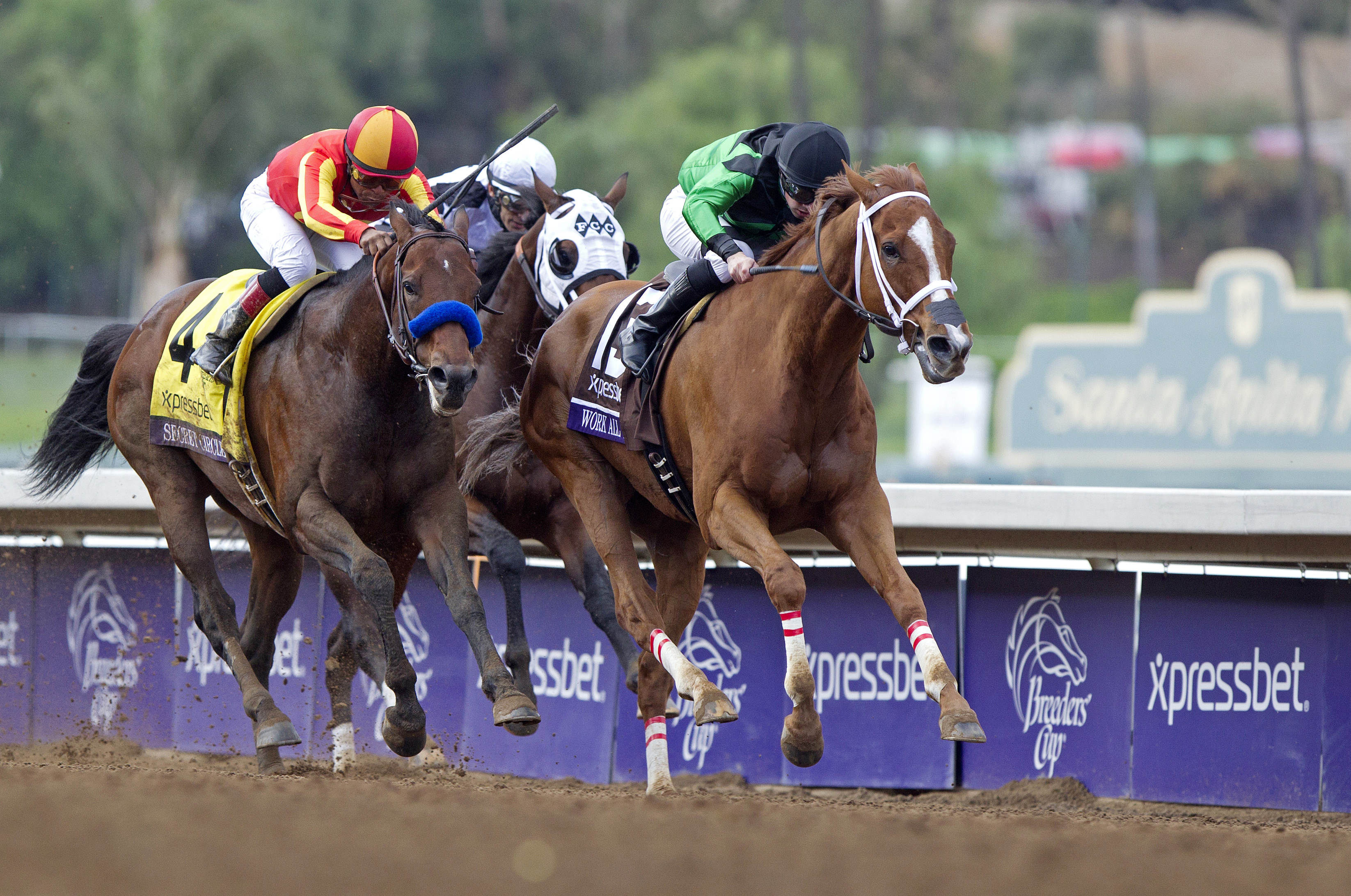 Work All Week wins the Breeders' Cup Sprint