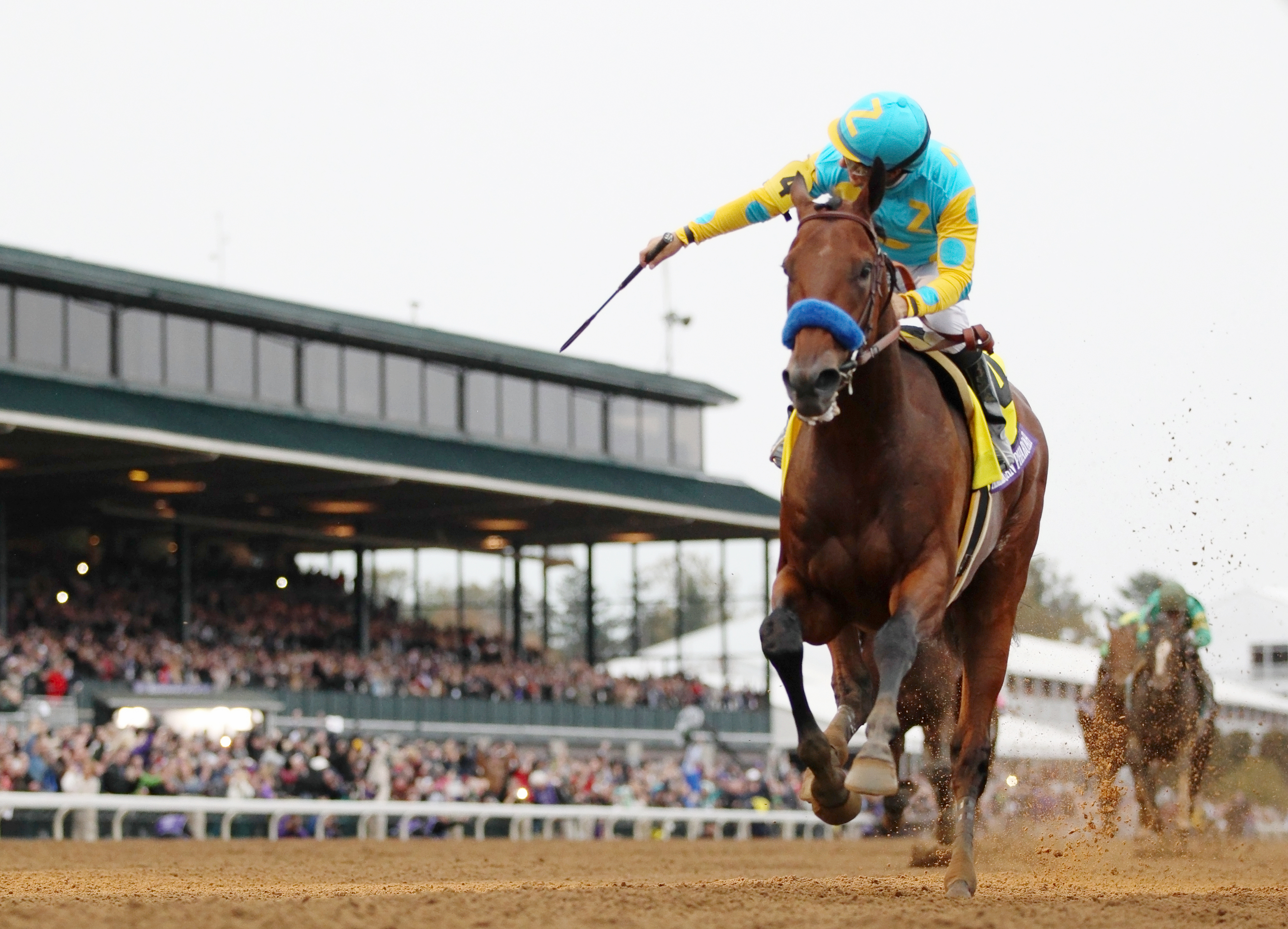American Pharoah wins the Breeders' Cup Classic
